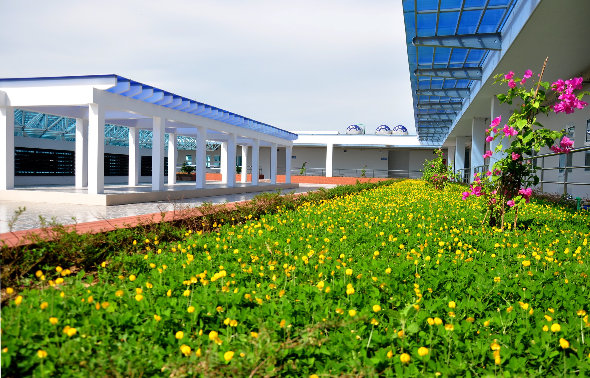 Cho trung tam Quang Ngai sap hoat dong anh 13