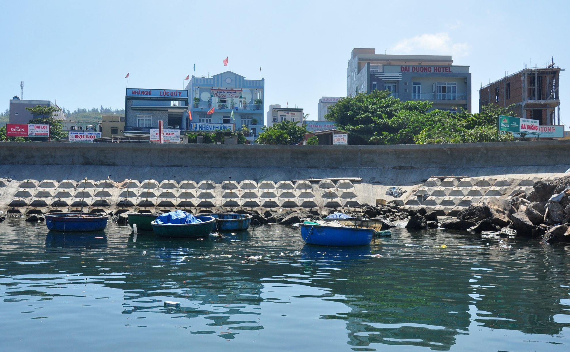 Lo ngai phat trien 'nong' o huyen dao Ly Son hinh anh