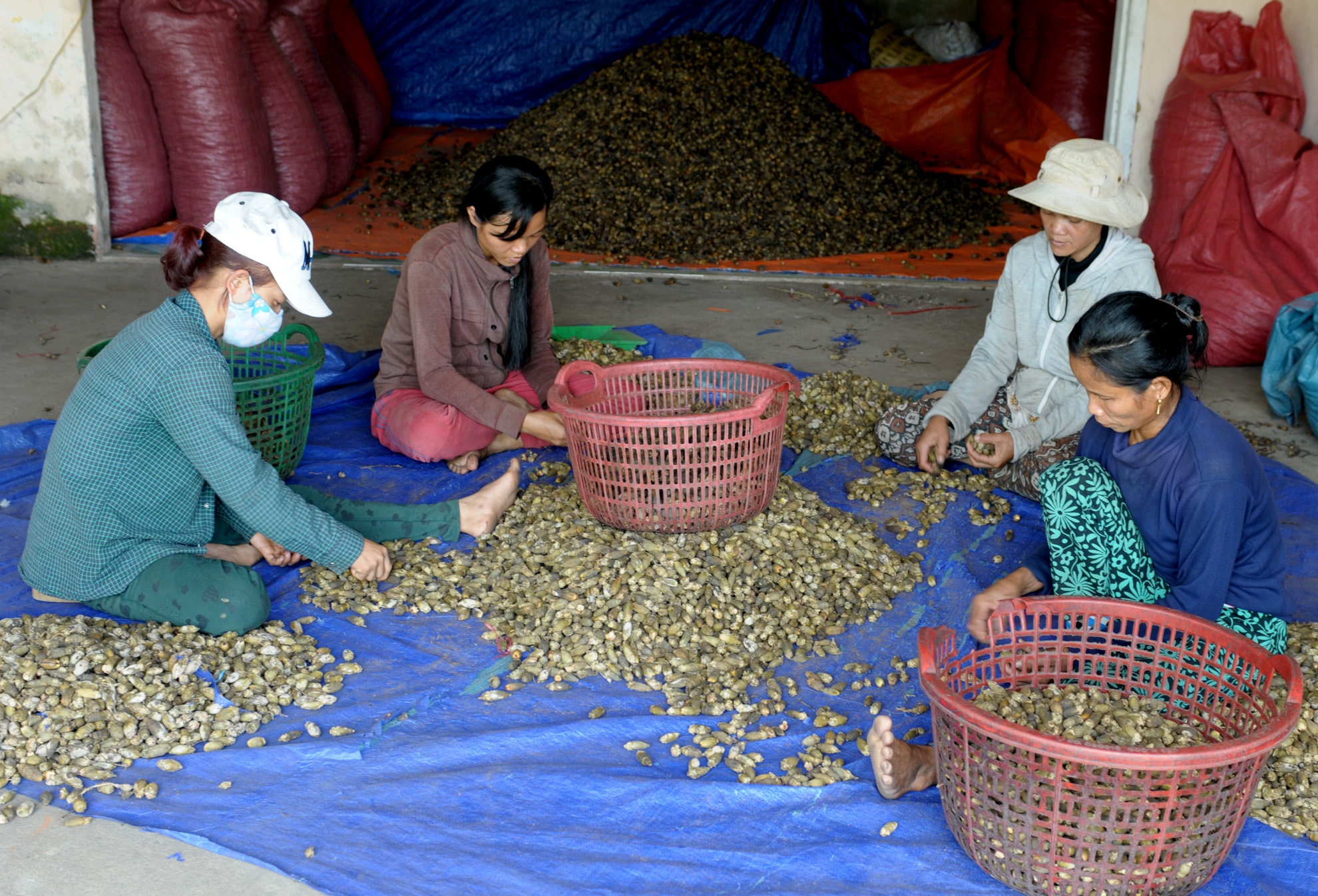 Dan lang ban cau non anh 13