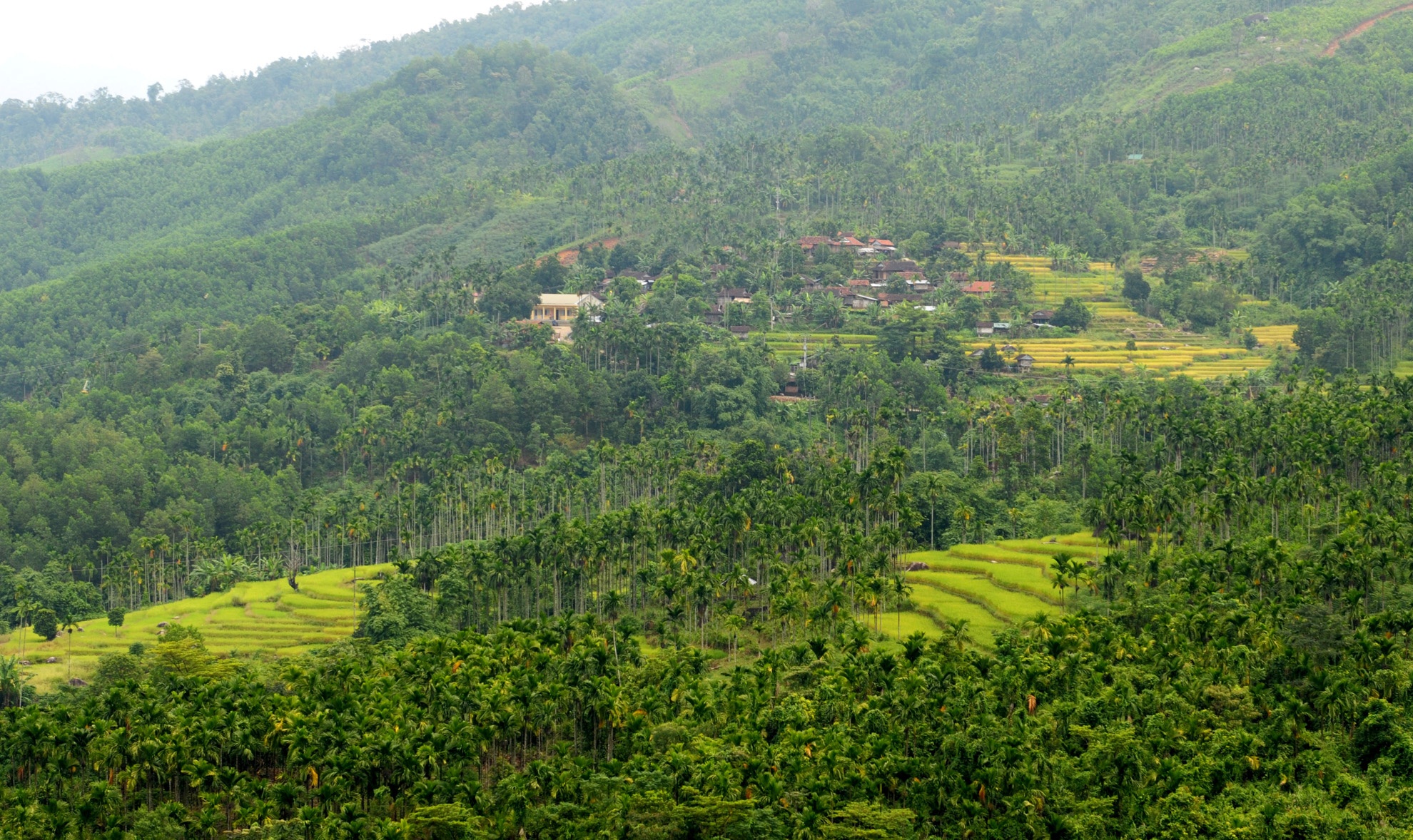 Dan lang ban cau non anh 1