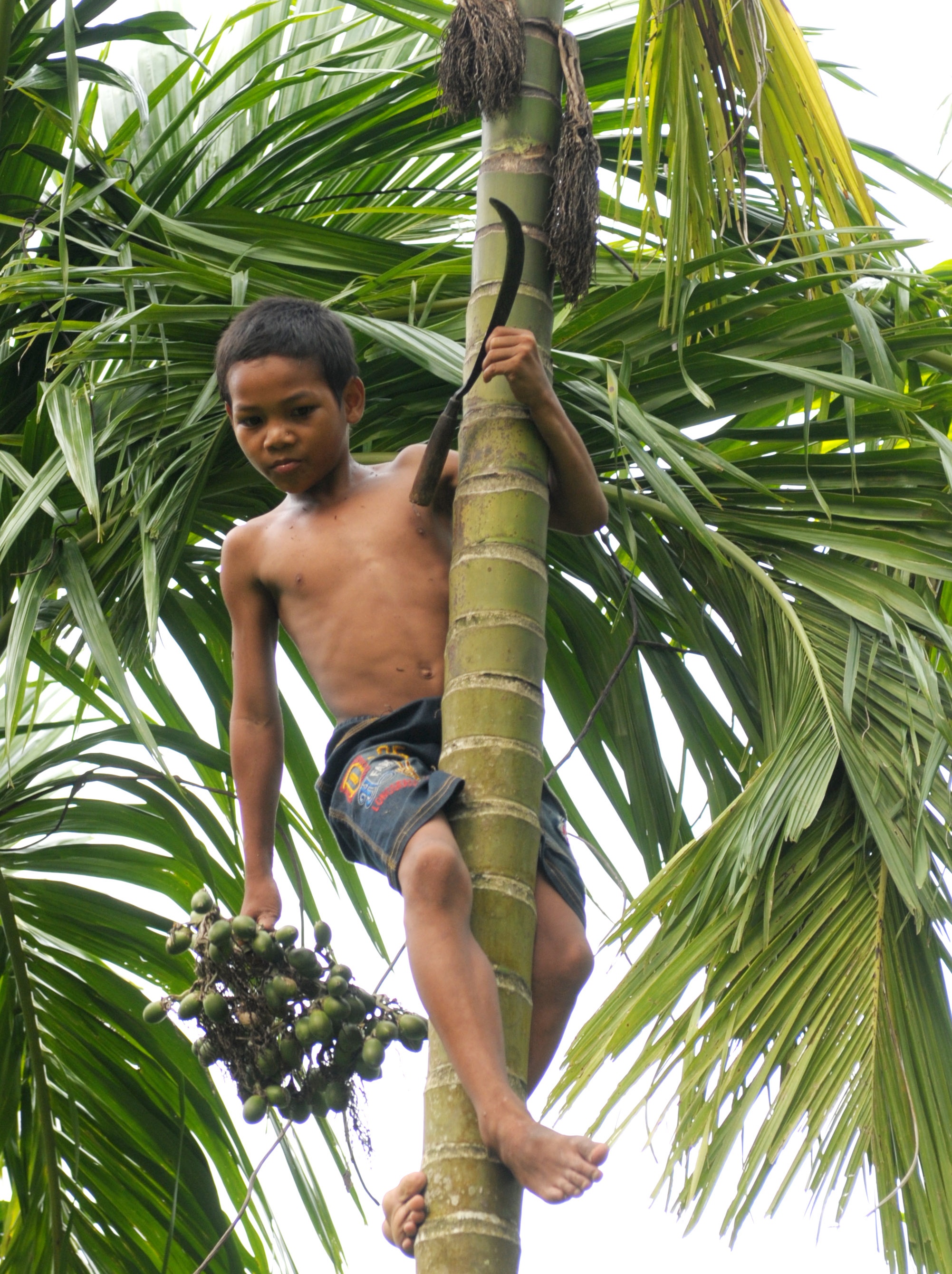 Dan lang ban cau non anh 2