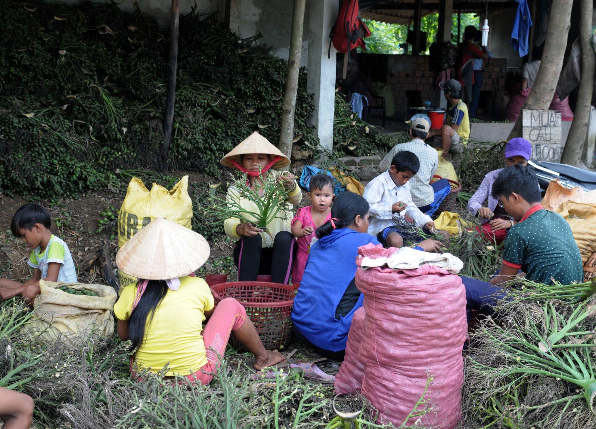 Dan lang ban cau non anh 5