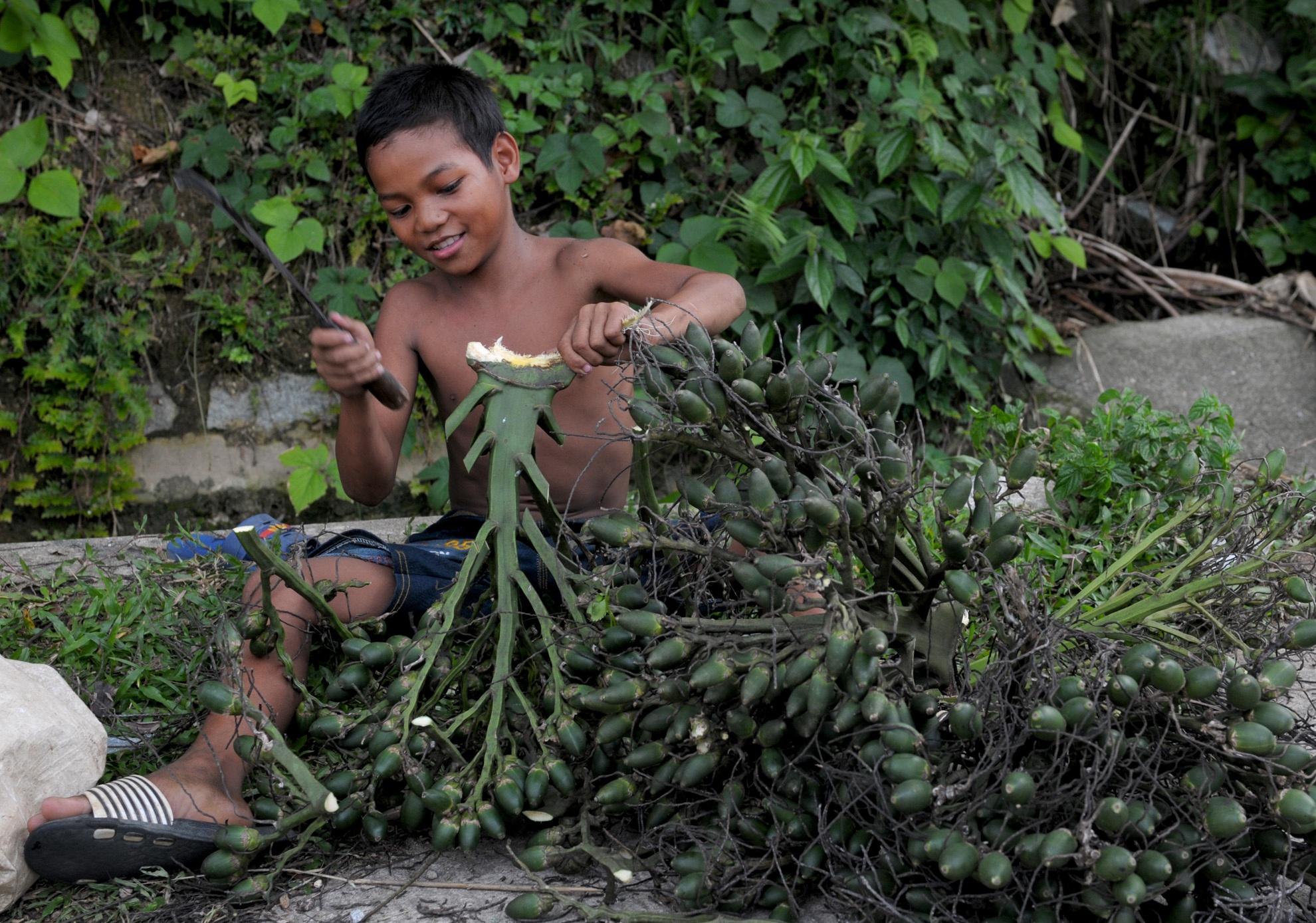 Dan lang o at hai cau non ban sang Trung Quoc hinh anh
