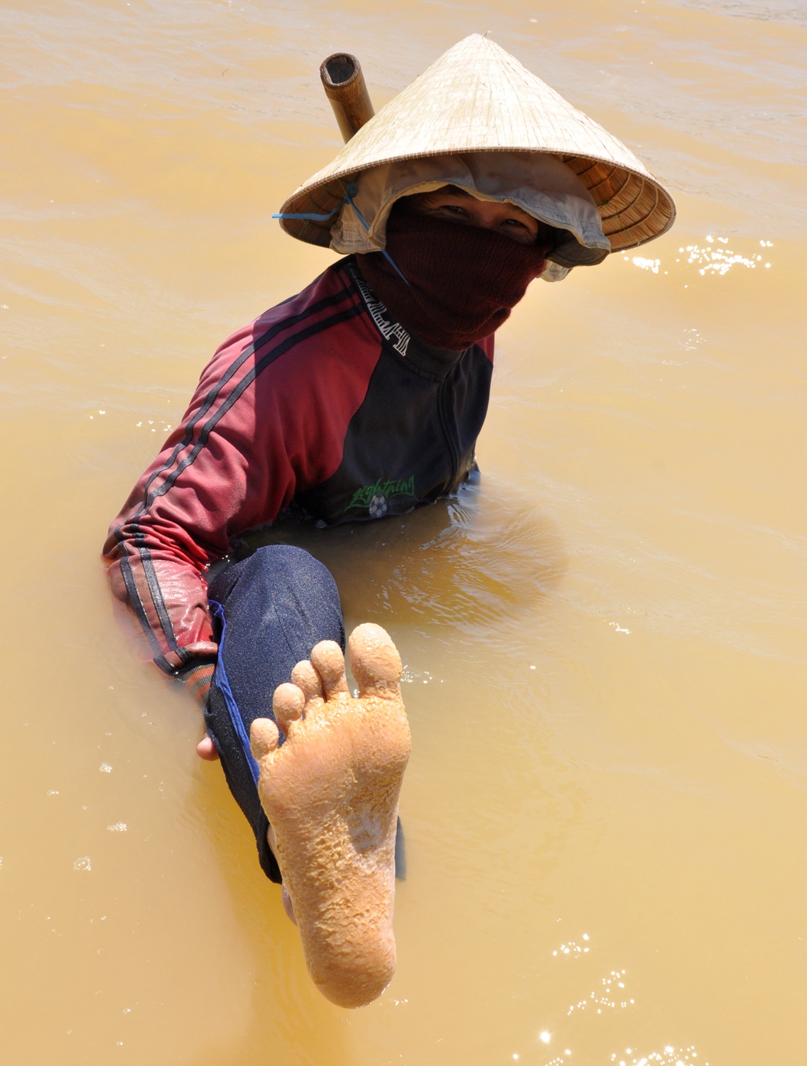 Muu sinh tren song Tra Khuc anh 8