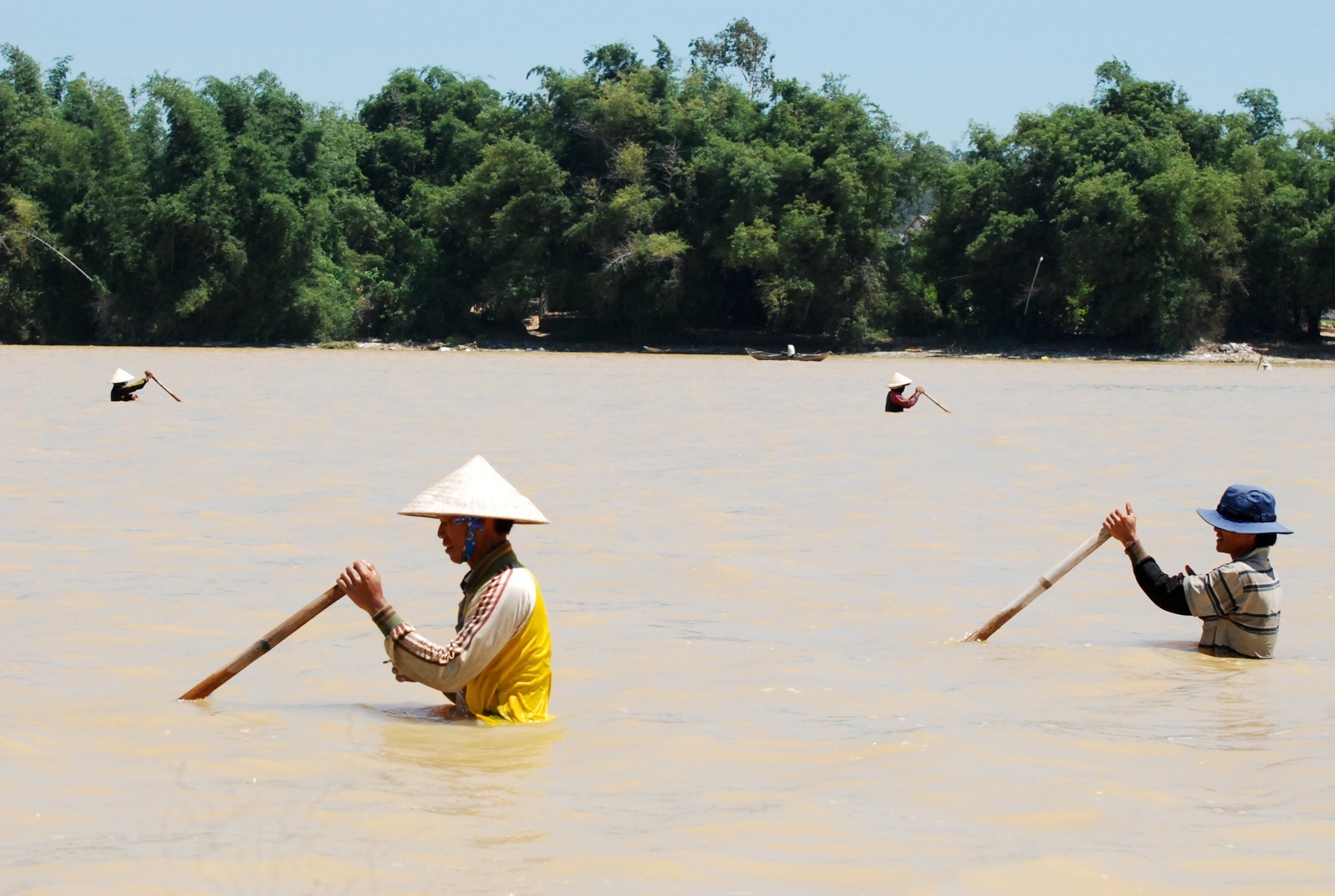 Muu sinh tren song Tra Khuc anh 2