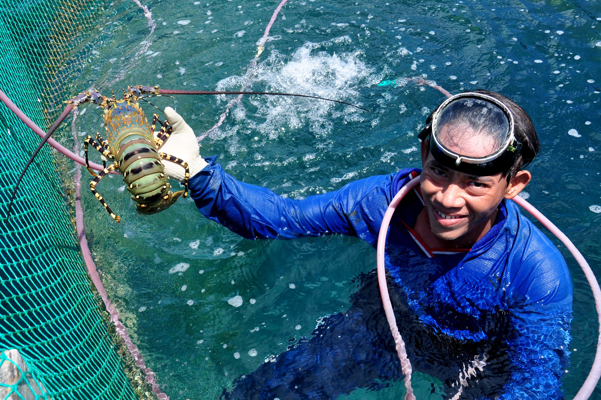 Lai tien ty moi nam nho nuoi tom hum, ca mu o dao Ly Son hinh anh