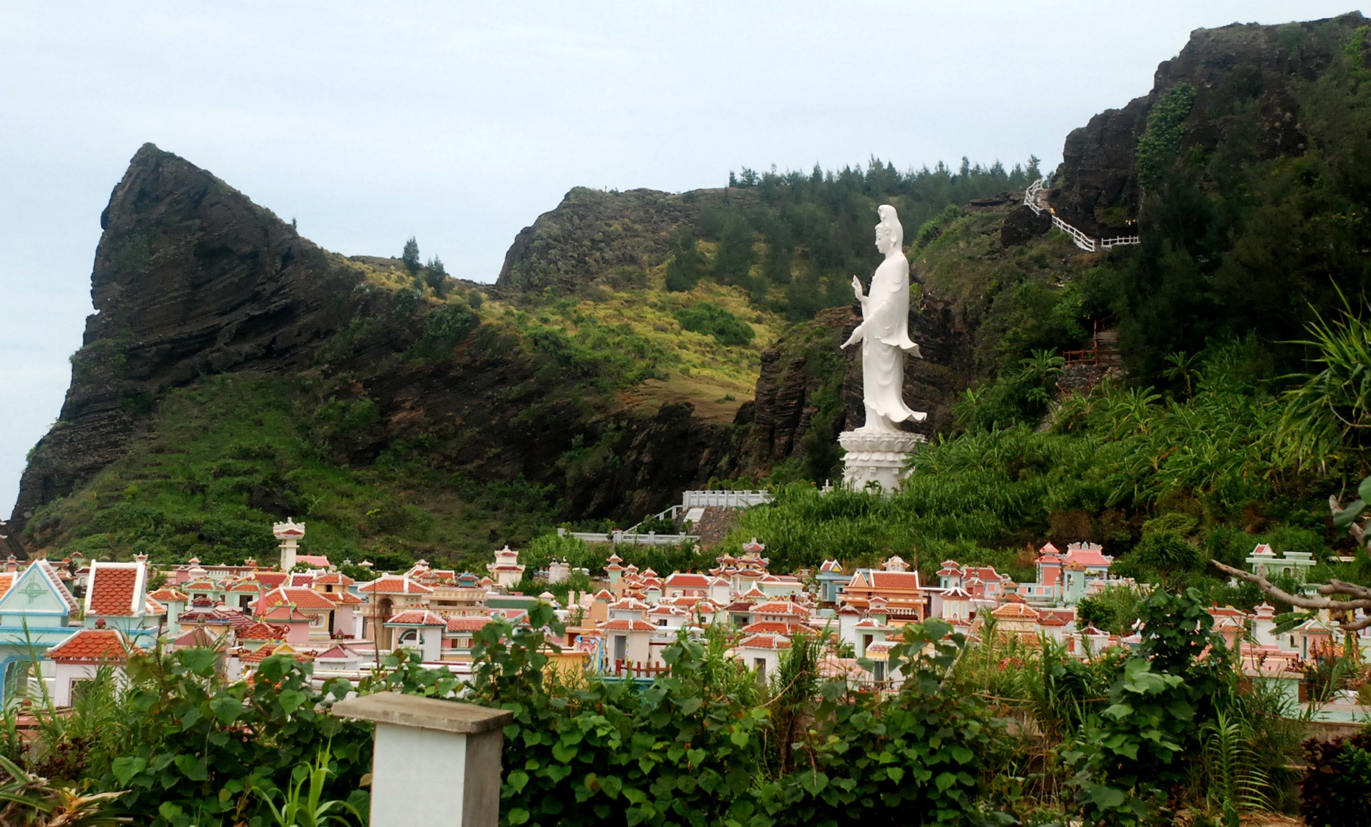 Quang Ngai keu goi dan Ly Son thich nghi voi hoa tang hinh anh