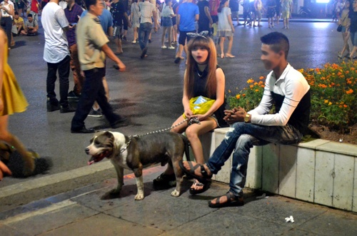 Bat an voi cho du o pho di bo ho Guom hinh anh