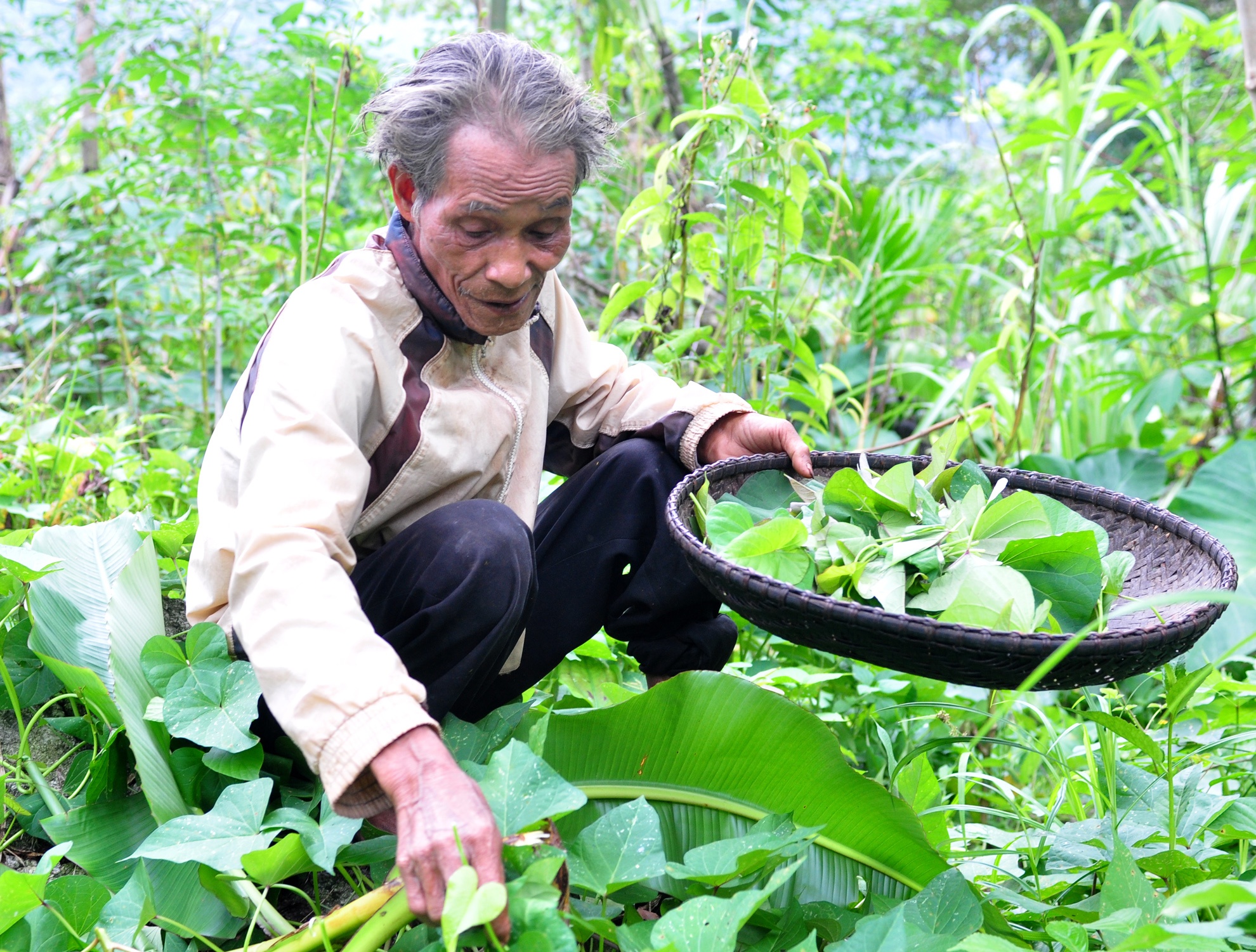 39 nam song giua rung sau anh 9