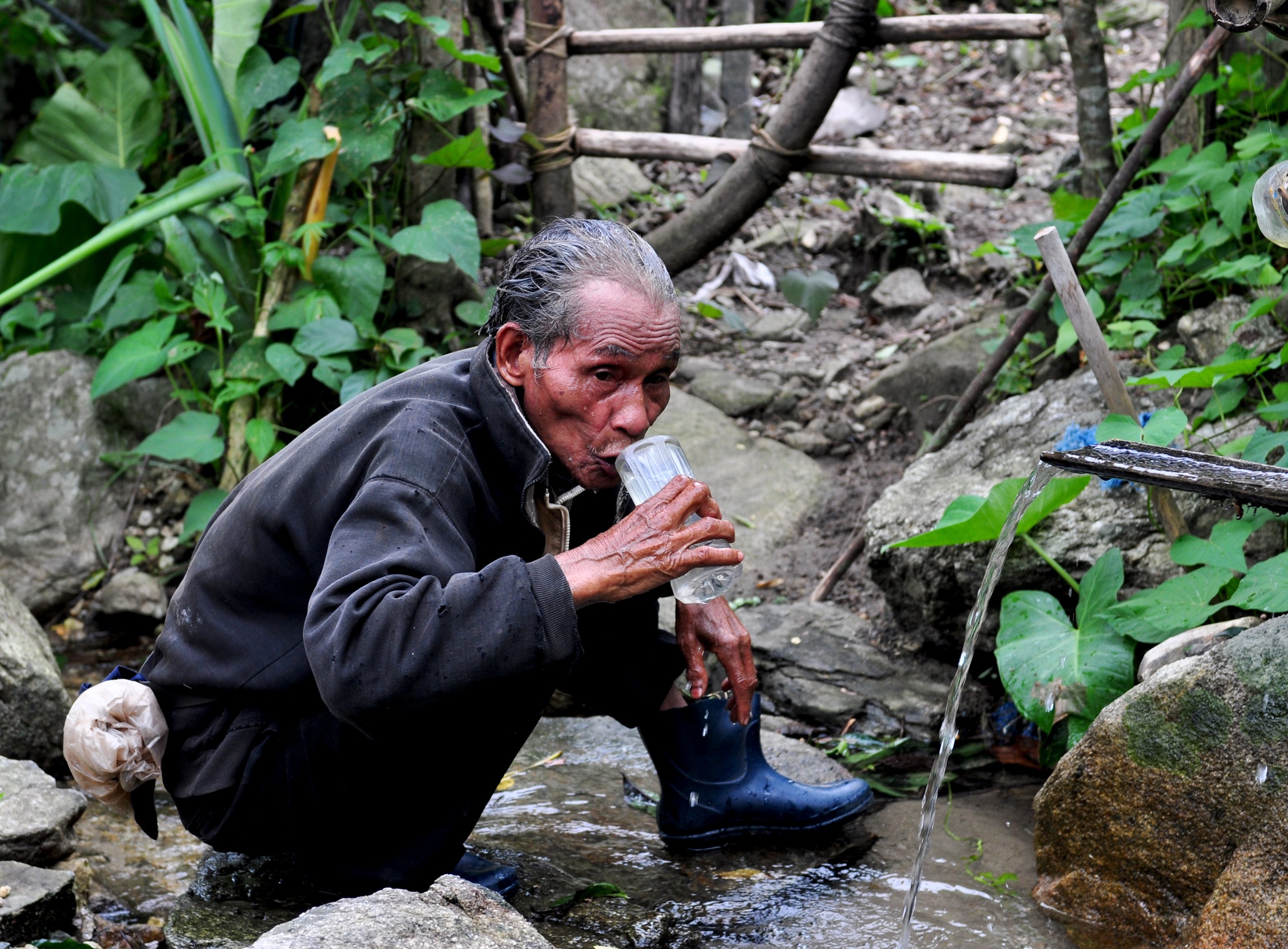 39 nam song giua rung sau anh 10