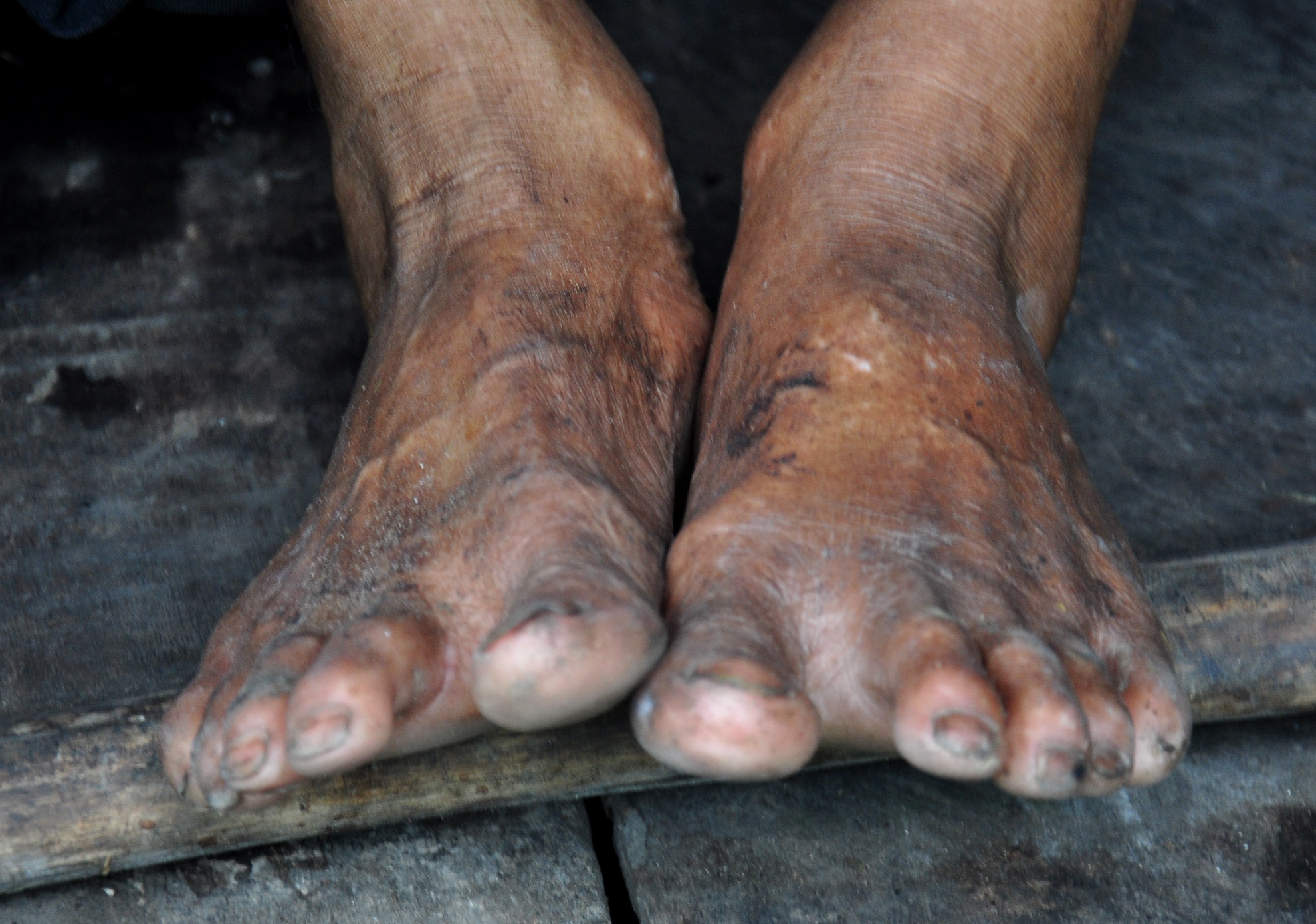 39 nam song giua rung sau anh 11