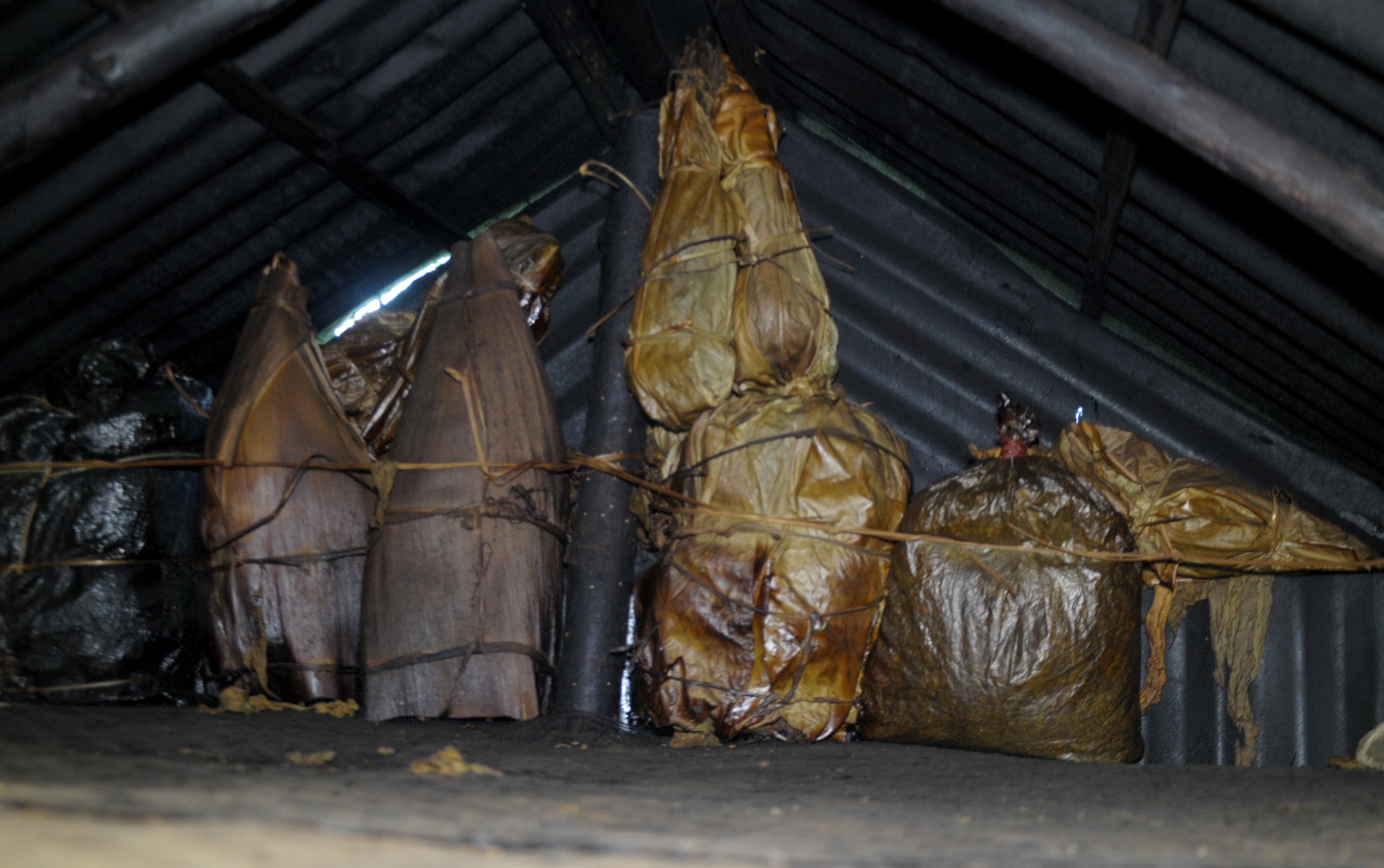 39 nam song giua rung sau anh 13