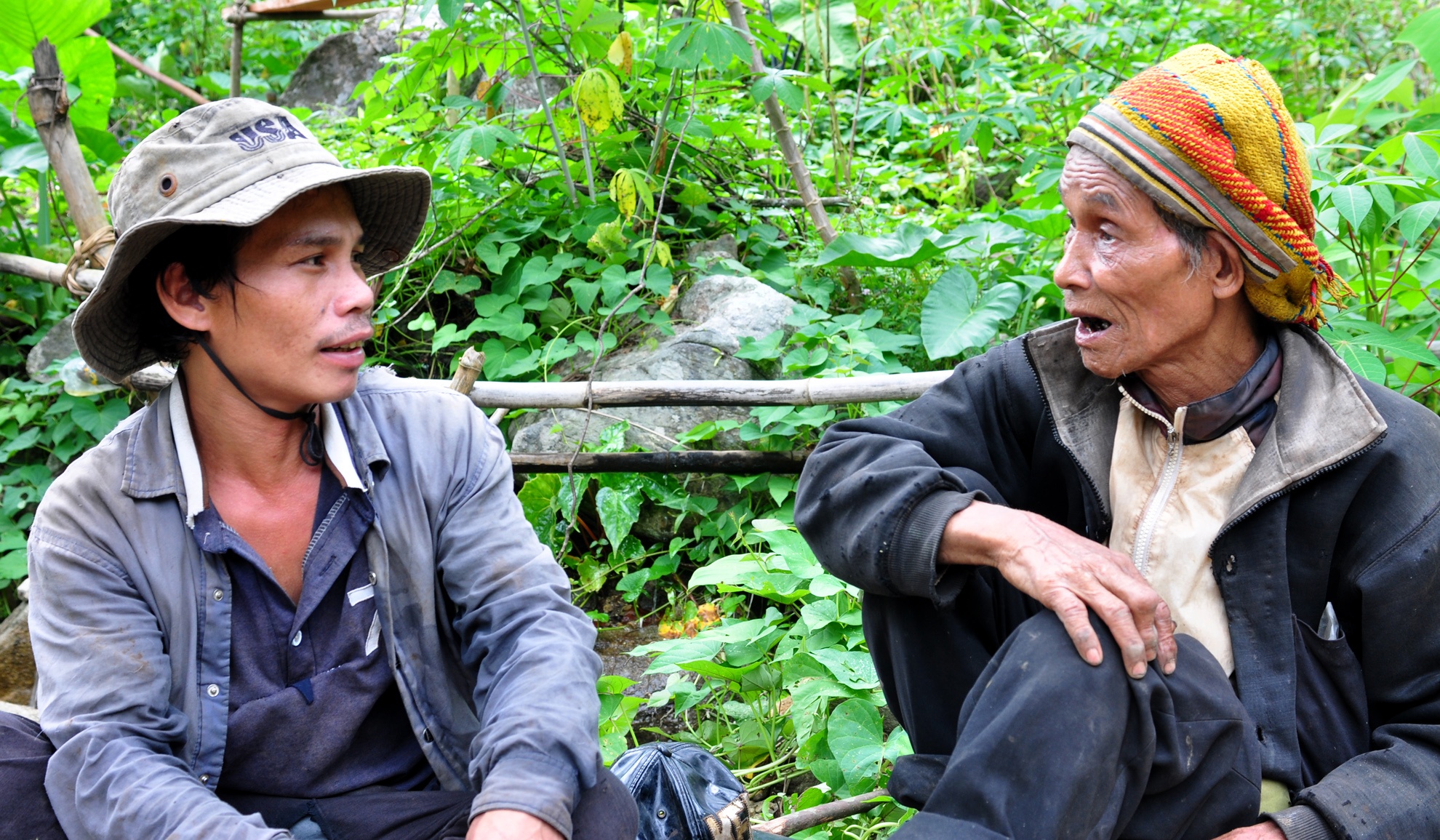 39 nam song giua rung sau anh 14