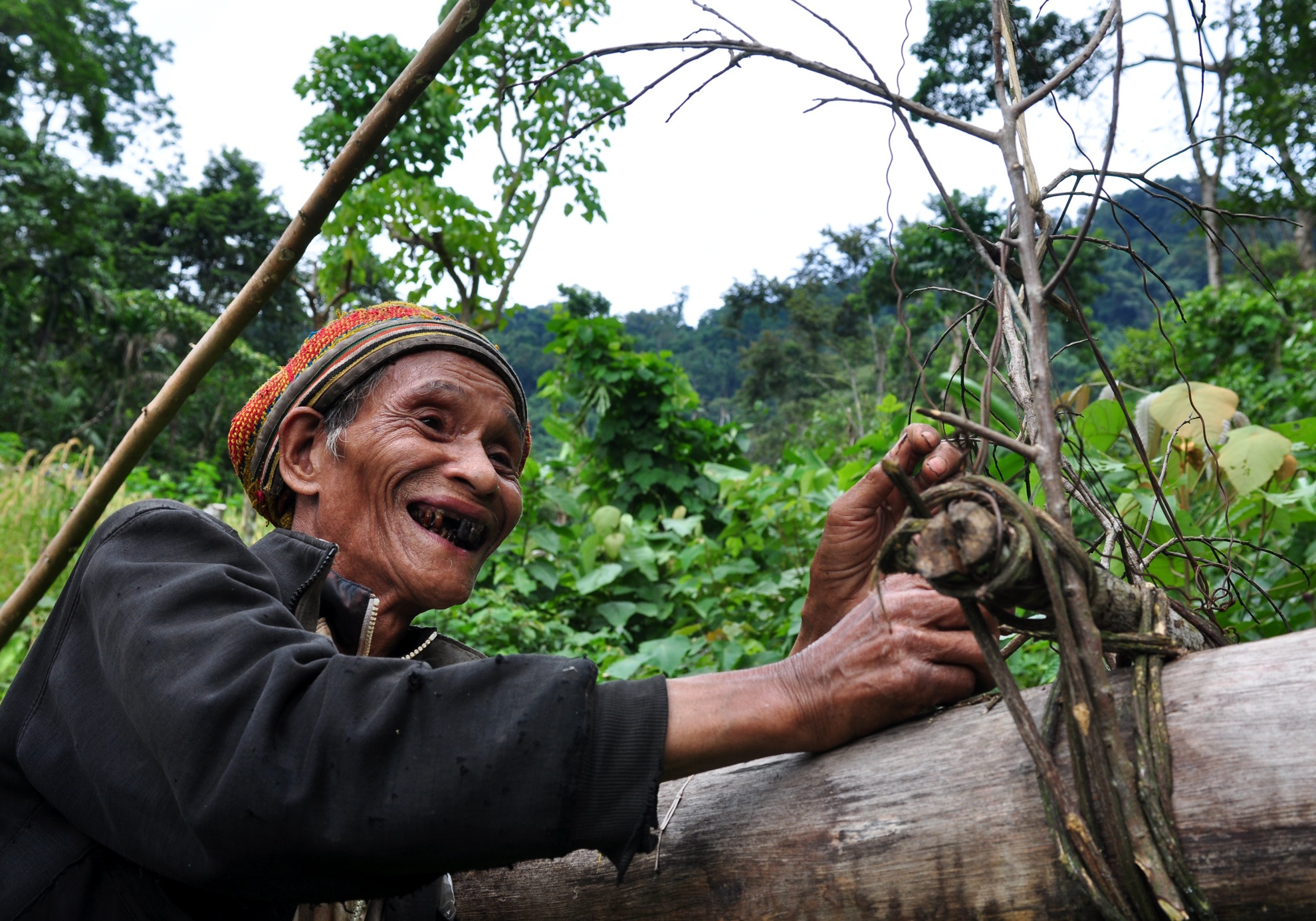 39 nam song giua rung sau anh 8