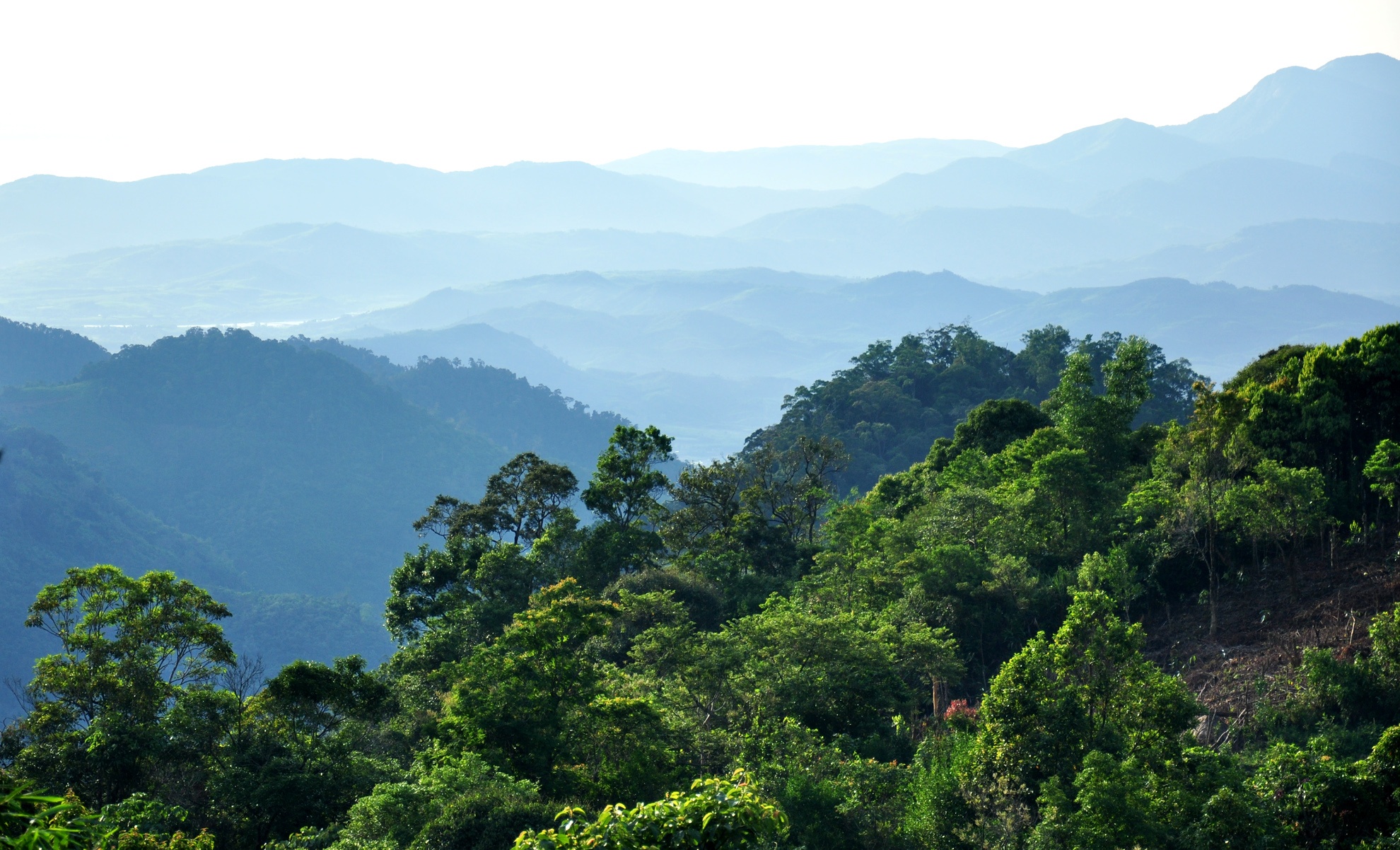 Ve dep hoang so o day nui cao nhat Quang Ngai hinh anh