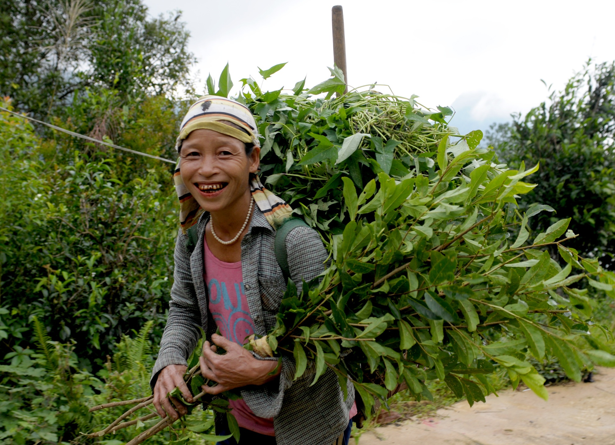 Lang biet lap o Ca Dam anh 14