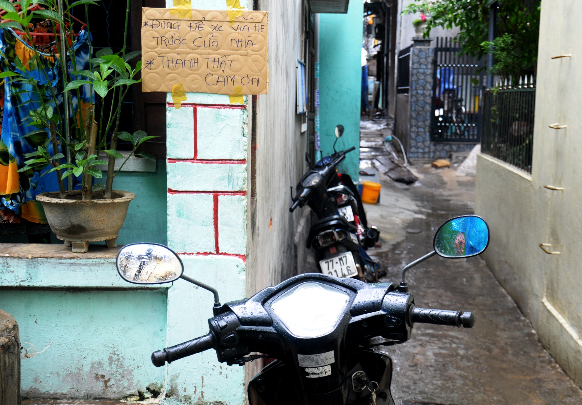 Khu o chuot Quy Nhon anh 14