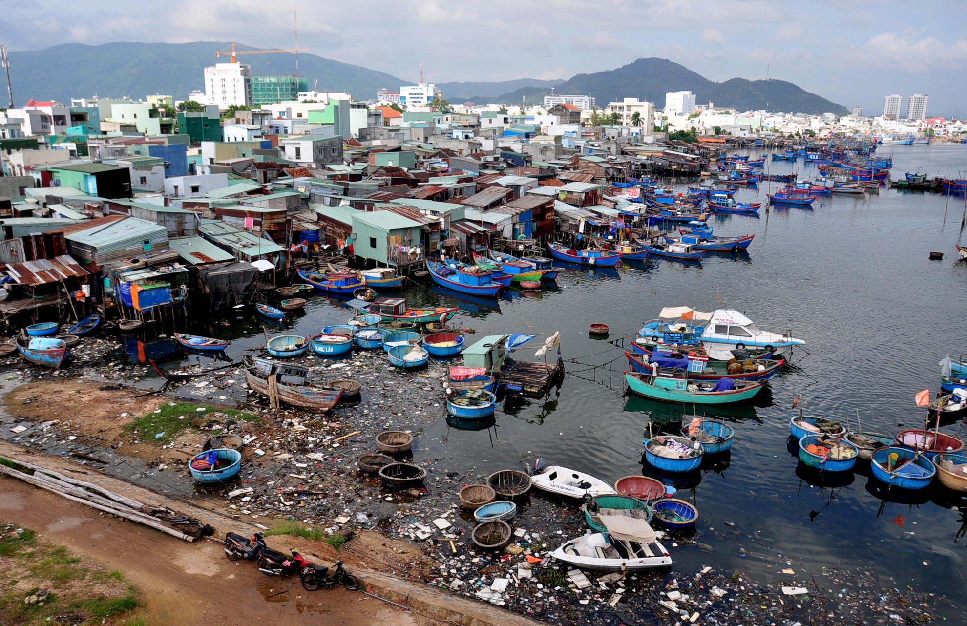 Khu o chuot Quy Nhon anh 1