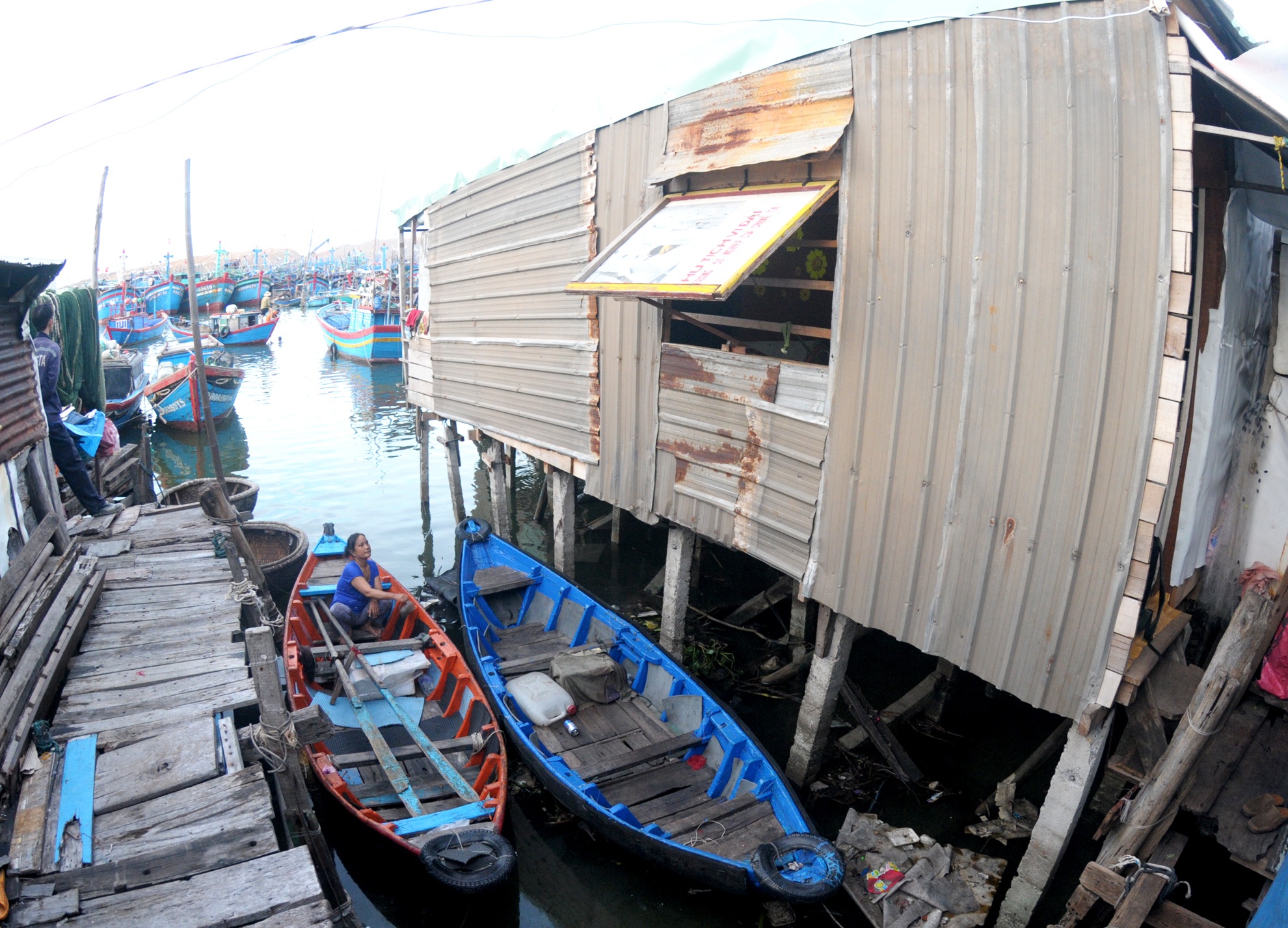 Khu o chuot Quy Nhon anh 3