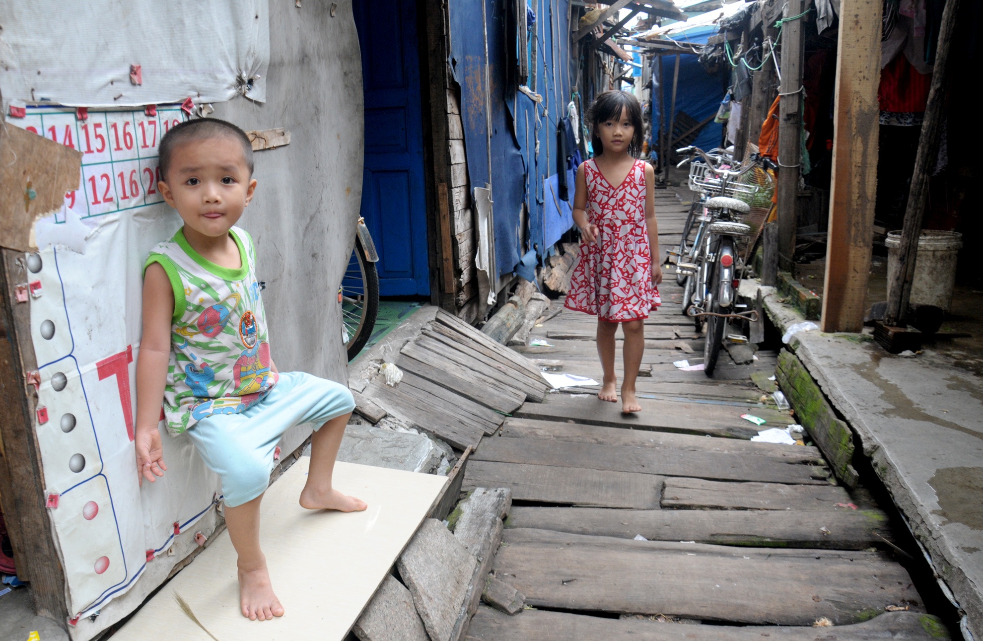 Khu o chuot Quy Nhon anh 4