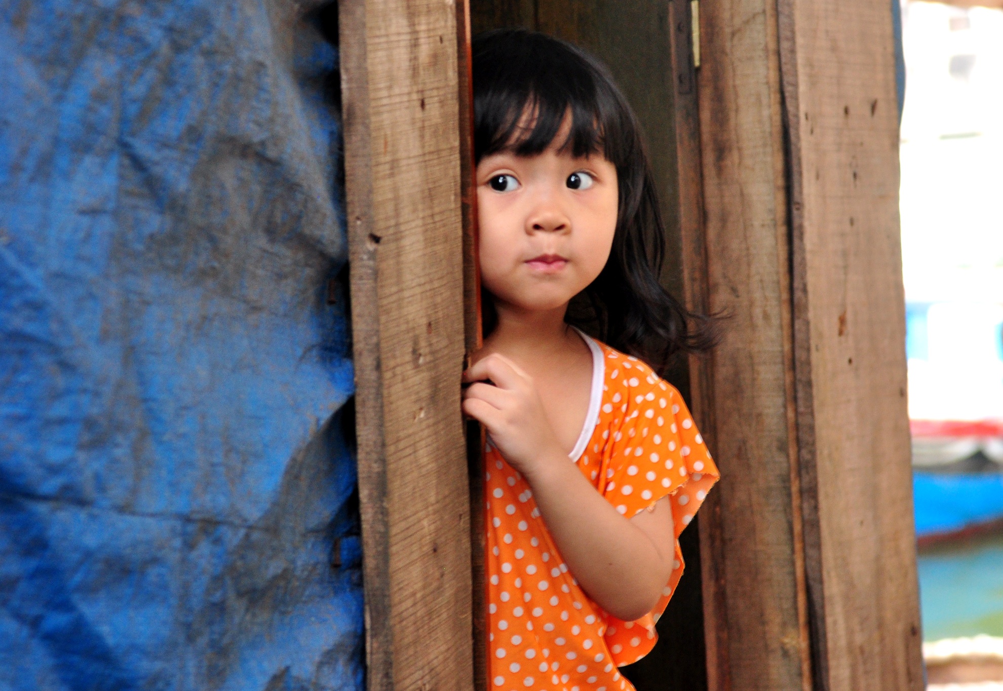 Khu o chuot Quy Nhon anh 5