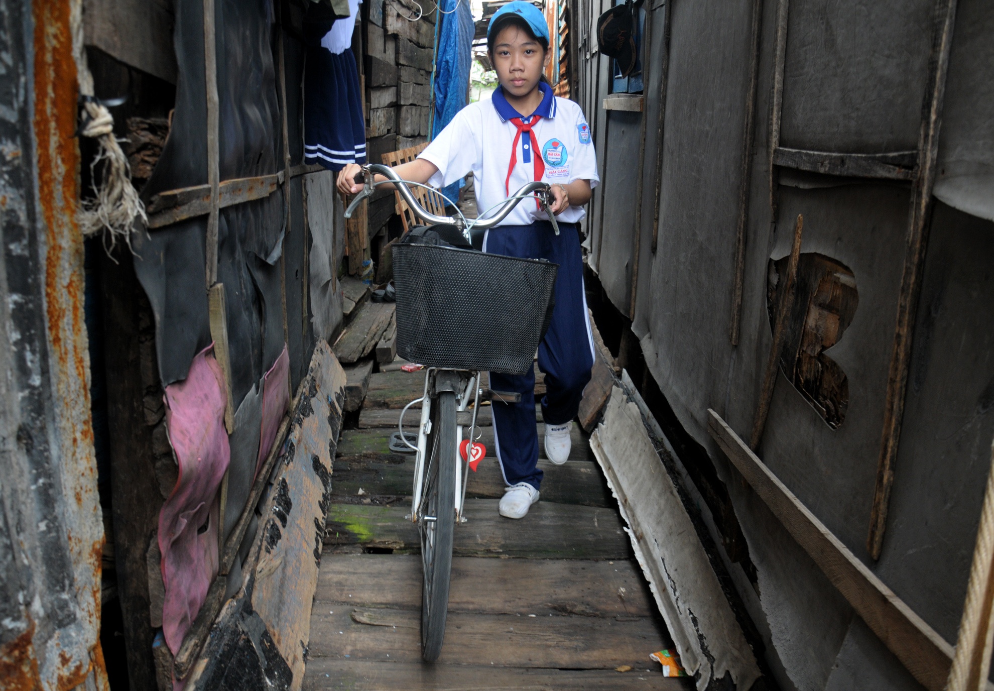 Khu o chuot Quy Nhon anh 8