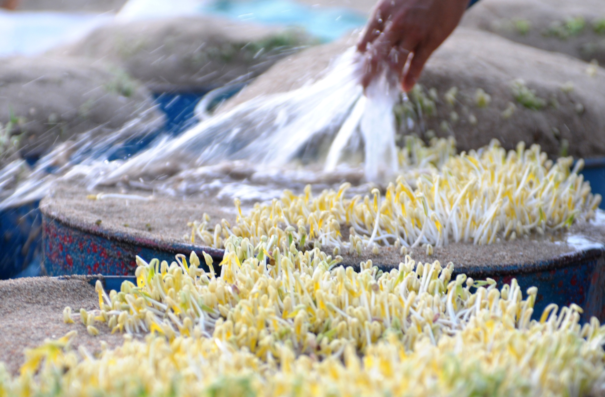 Lang lam gia sach ven song Tra Khuc hinh anh