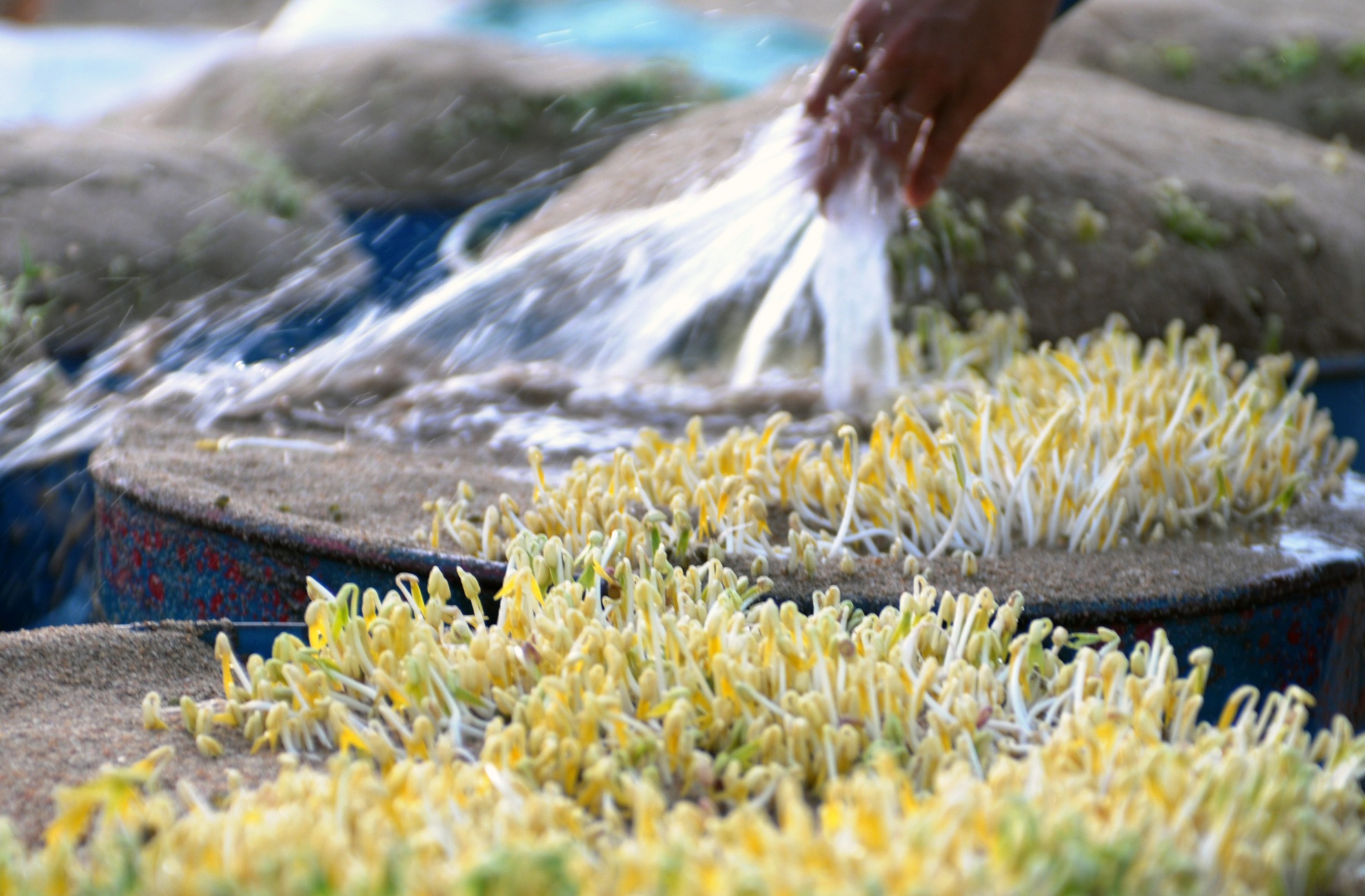 Dao ham cat lam gia do sach ven song Tra hinh anh