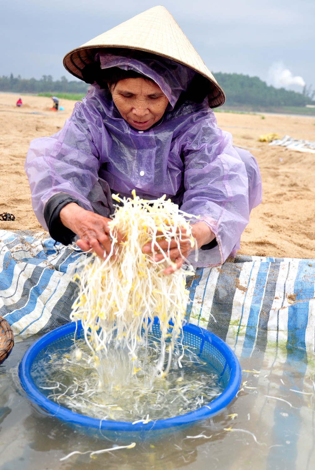 Lang dao ham lam gia sach anh 11