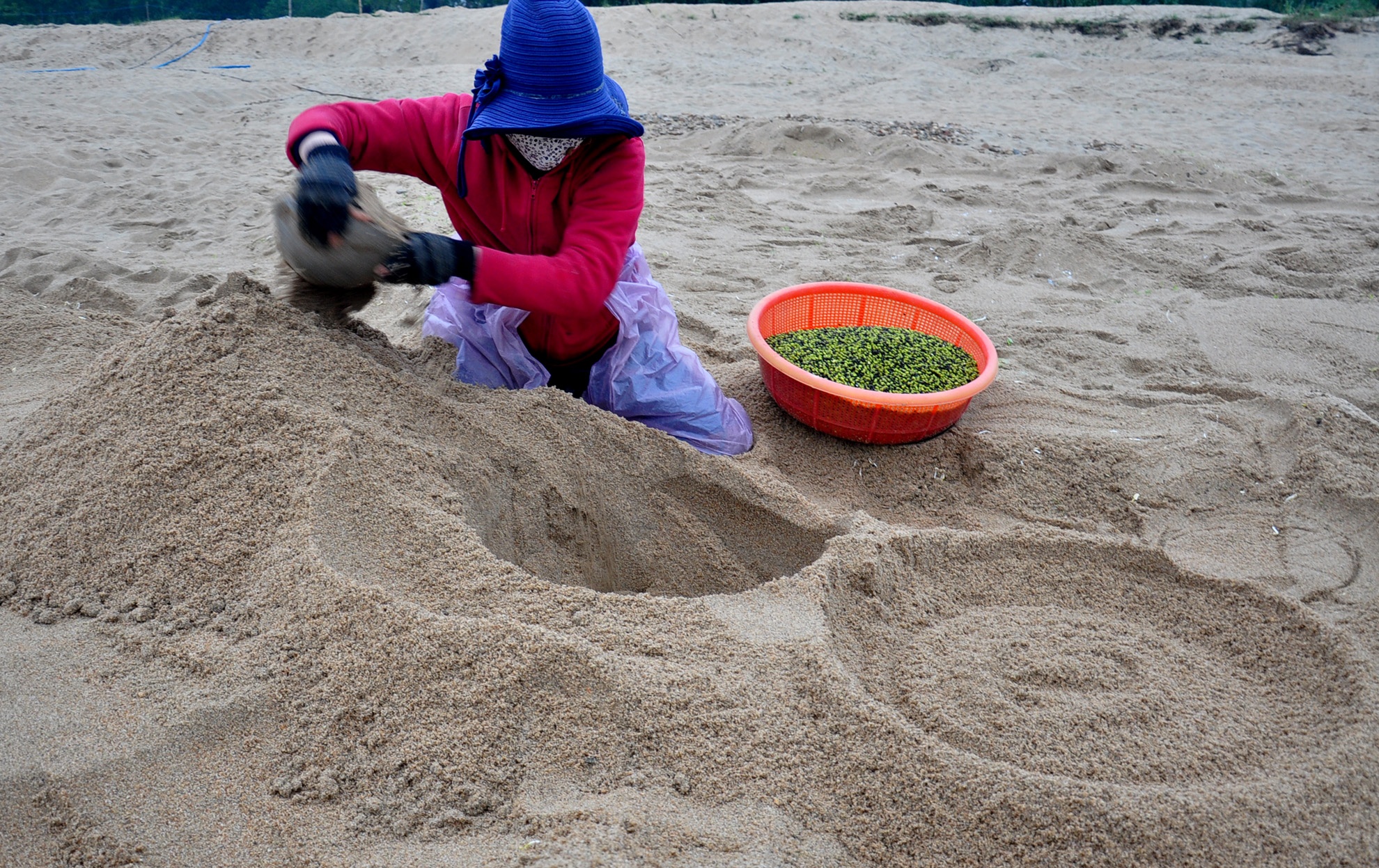 Lang dao ham lam gia sach anh 1