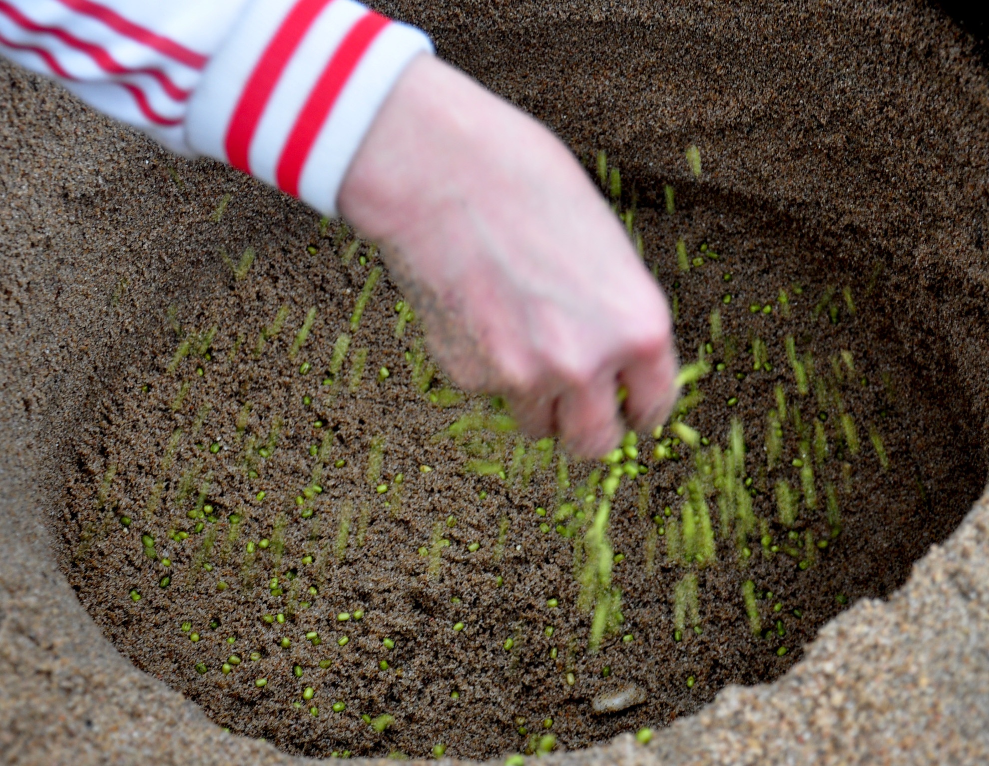 Lang dao ham lam gia sach anh 2