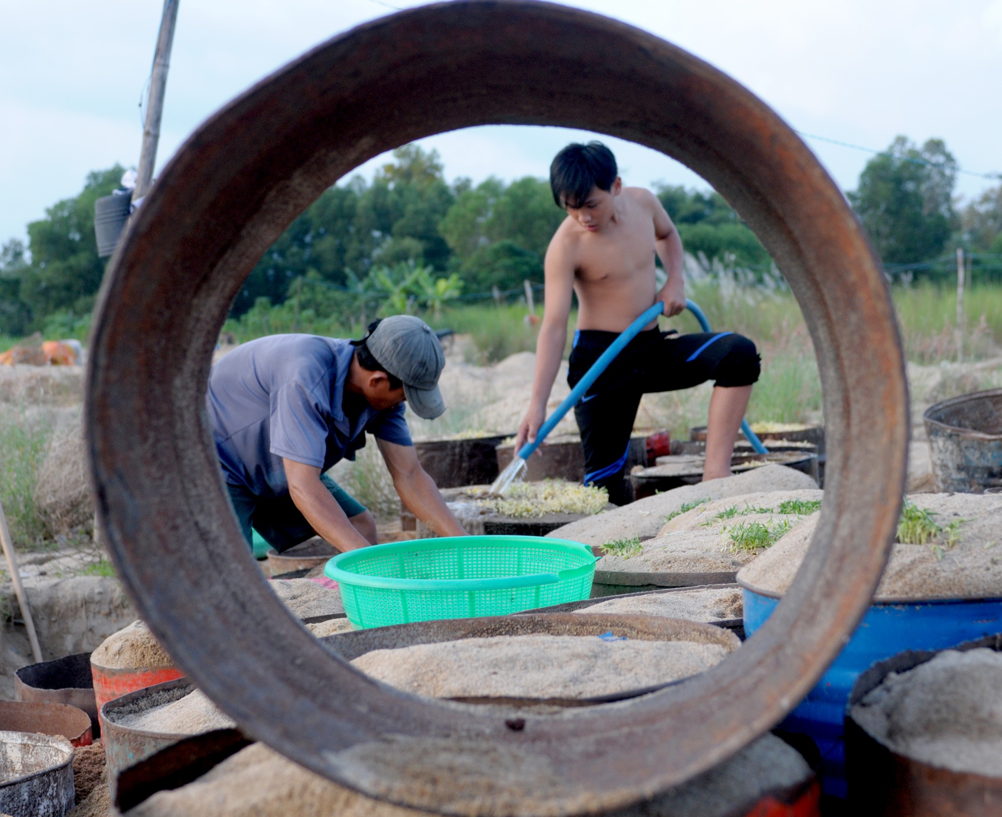 Lang dao ham lam gia sach anh 5