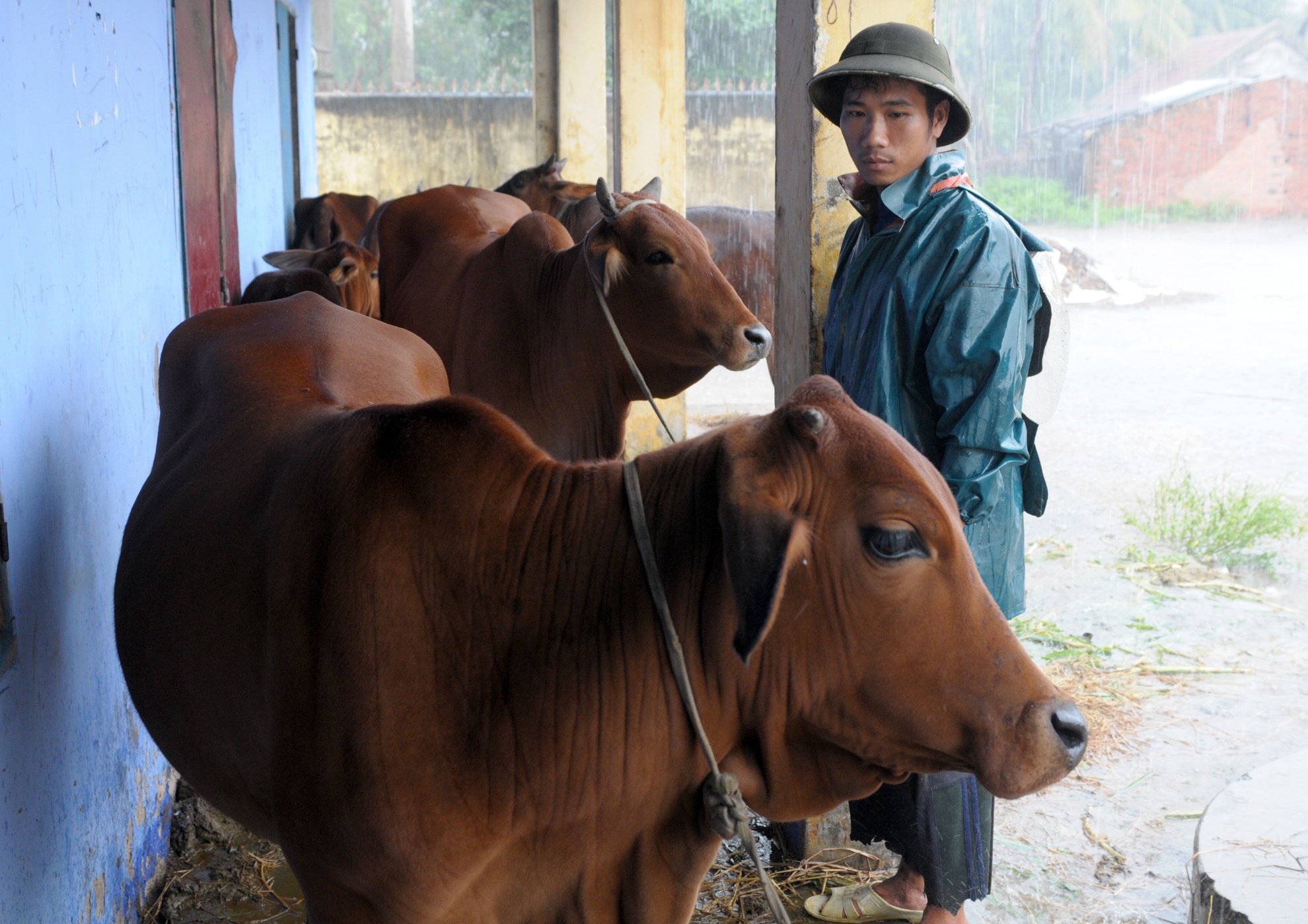Tang thuong vung lu Phu Yen anh 9