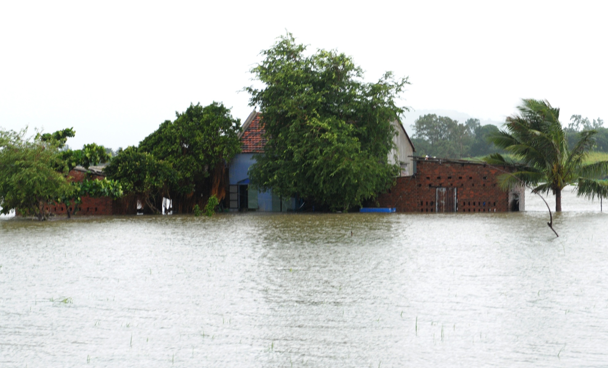 Tang thuong vung lu Phu Yen anh 2