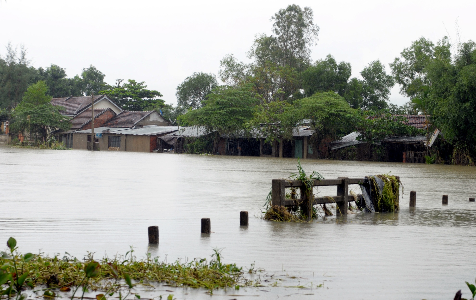 Tan hoang vung ron lu anh 12