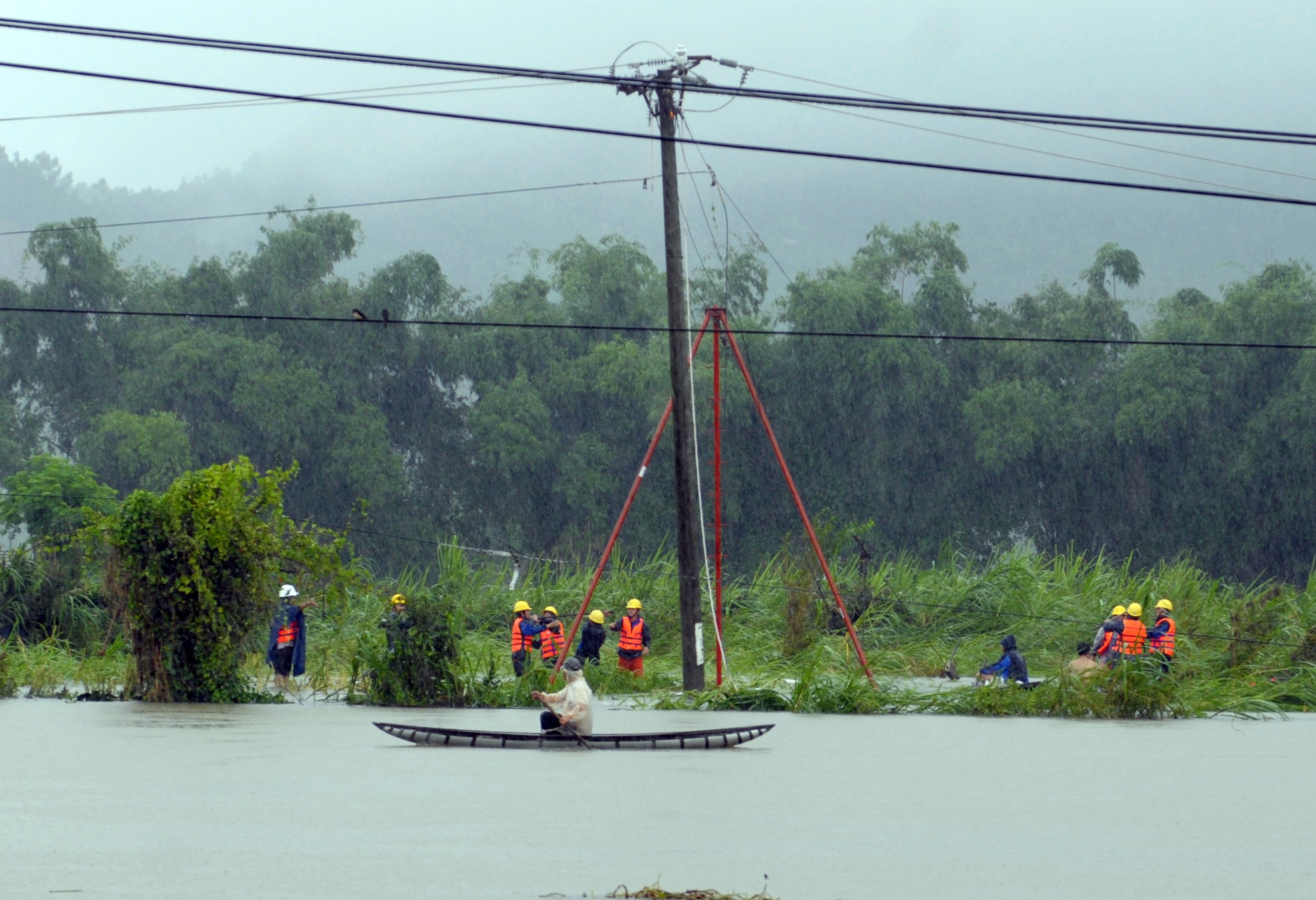 Tan hoang vung ron lu anh 13