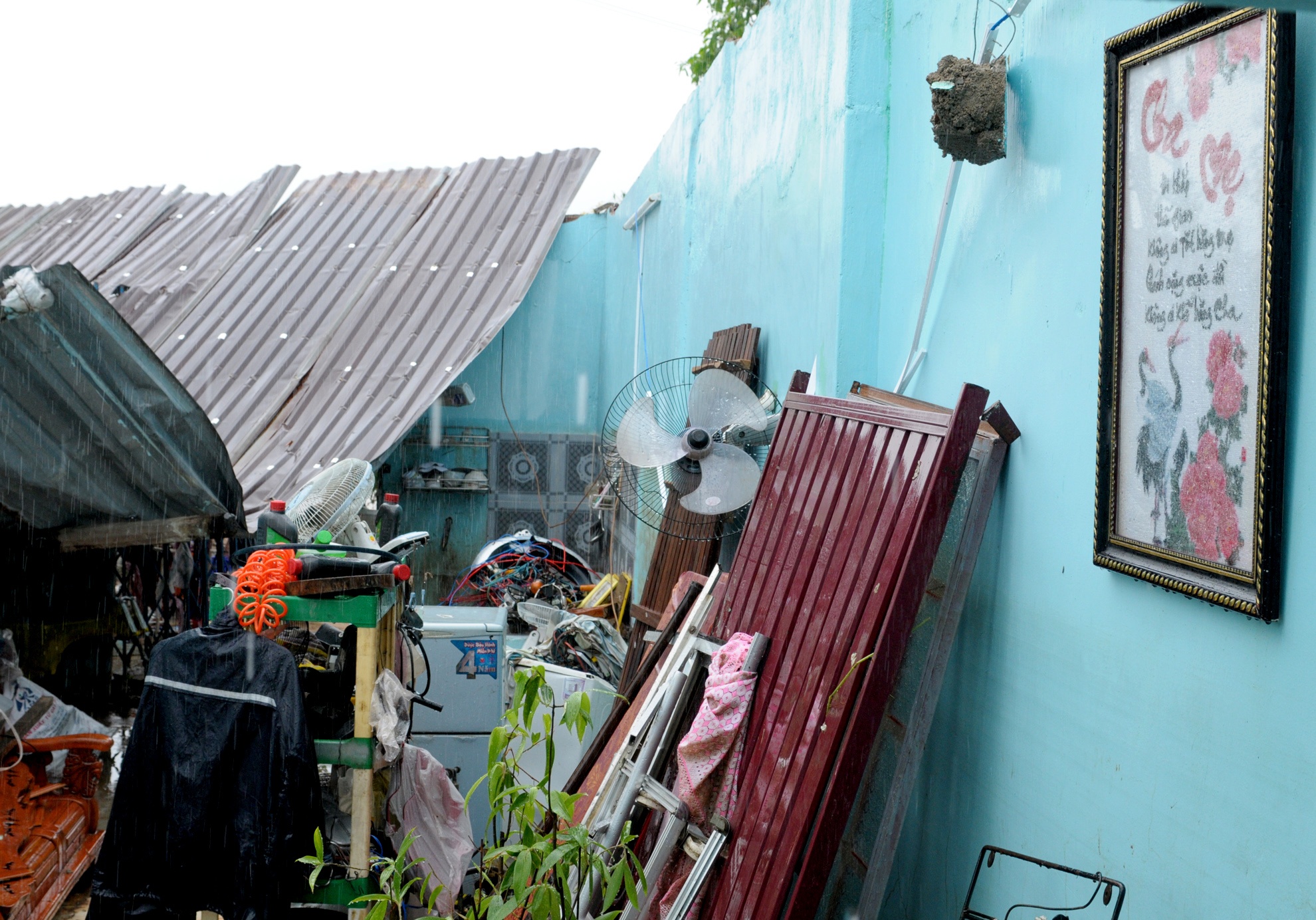 Tan hoang vung ron lu anh 5