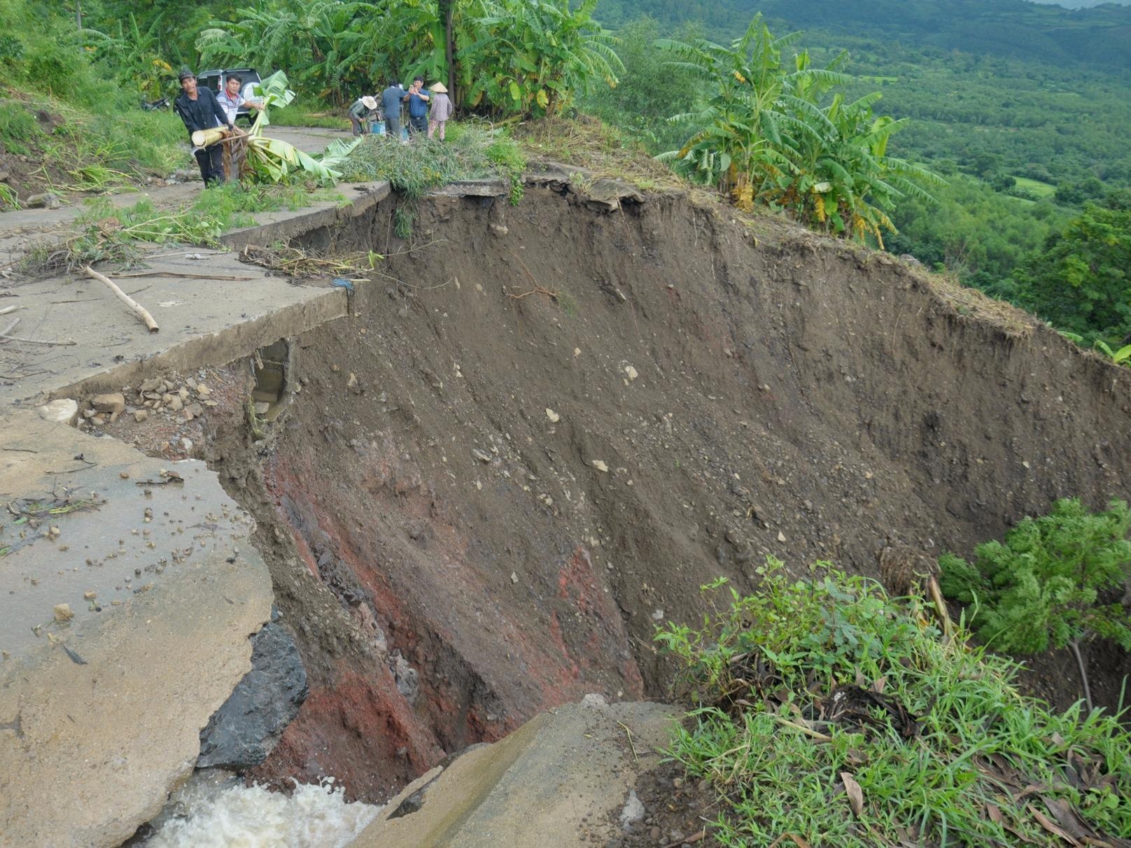 'Ho tu than' sau hang chuc met sau con lu hinh anh