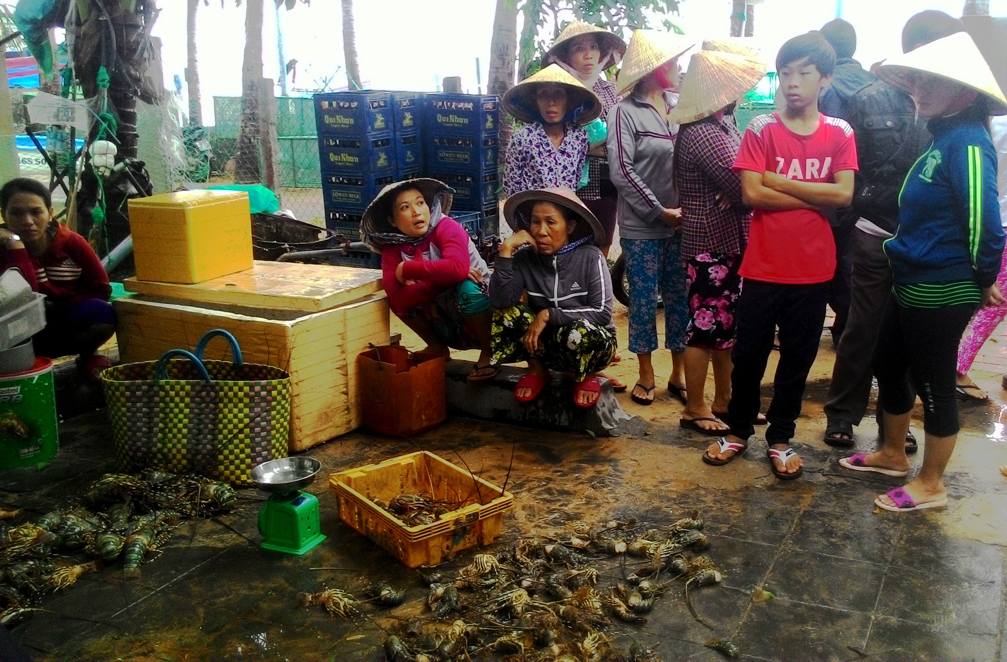 Mưa lũ khiến thủy sản chết ảnh 8 Mua lu khien thuy san chet anh 8