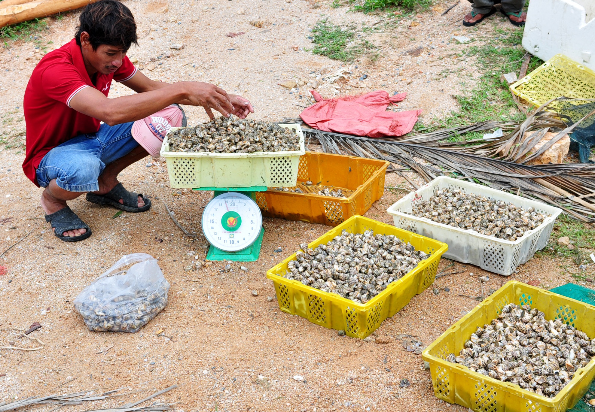 Mưa lũ khiến thủy sản chết ảnh 13 Mua lu khien thuy san chet anh 13