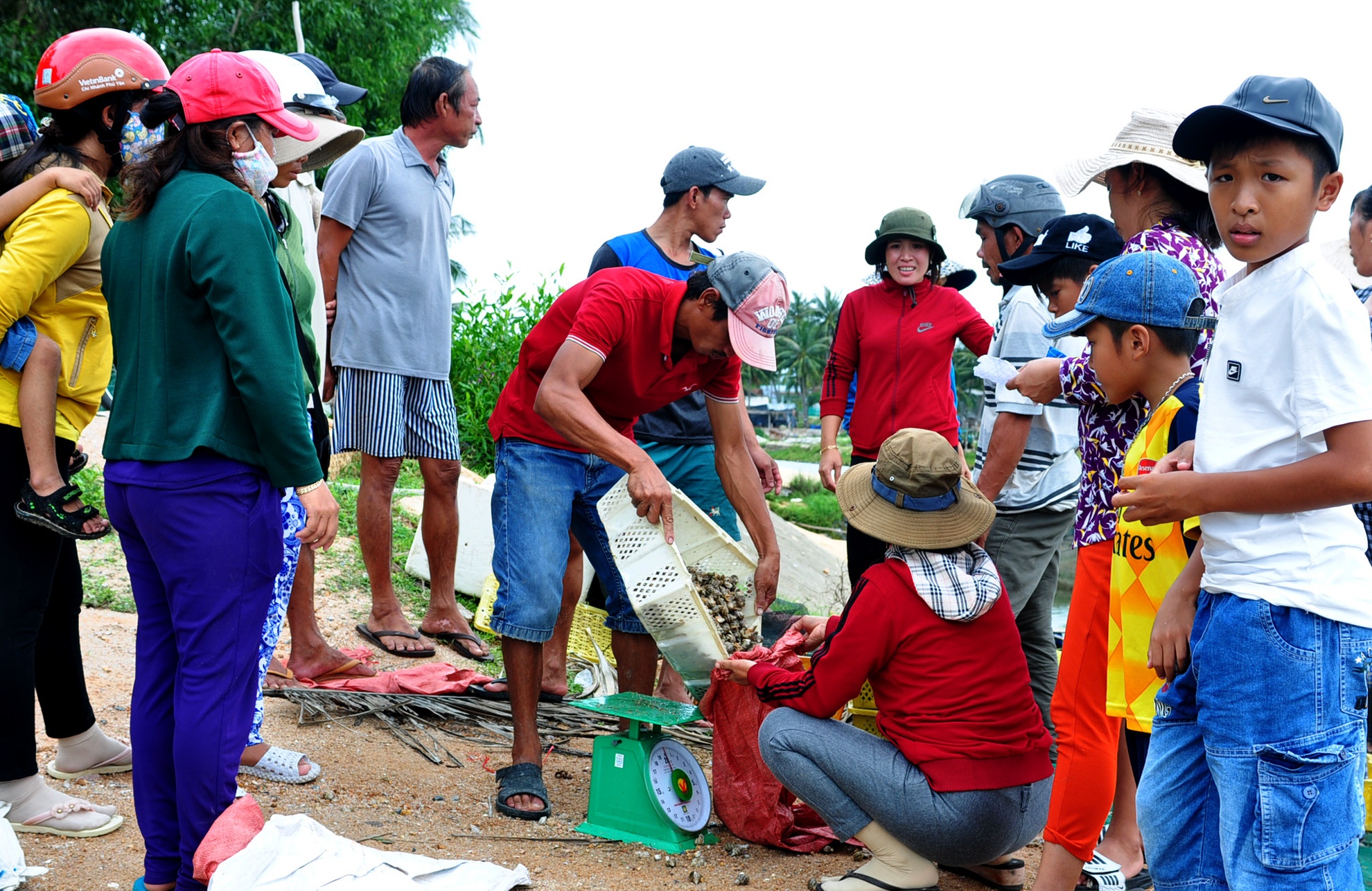 Mưa lũ khiến thủy sản chết ảnh 14 Mua lu khien thuy san chet anh 14