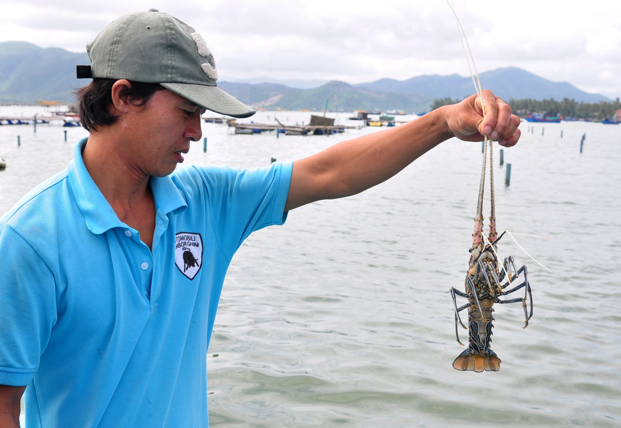 Mưa lũ khiến thủy sản chết ảnh 4 Mua lu khien thuy san chet anh 4