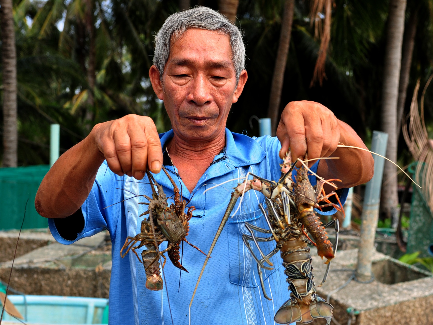 Mưa lũ khiến thủy sản chết ảnh 6 Mua lu khien thuy san chet anh 6