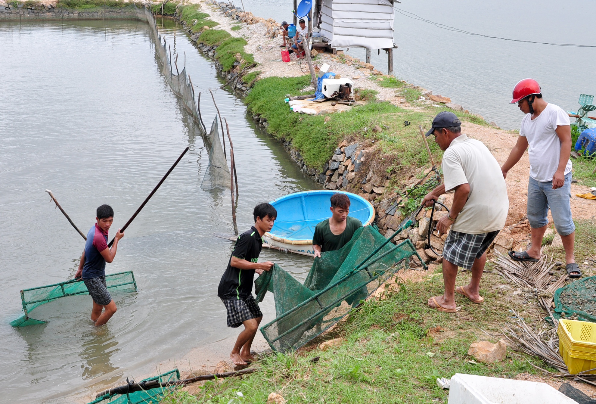 Mưa lũ khiến thủy sản chết ảnh 10 Mua lu khien thuy san chet anh 10