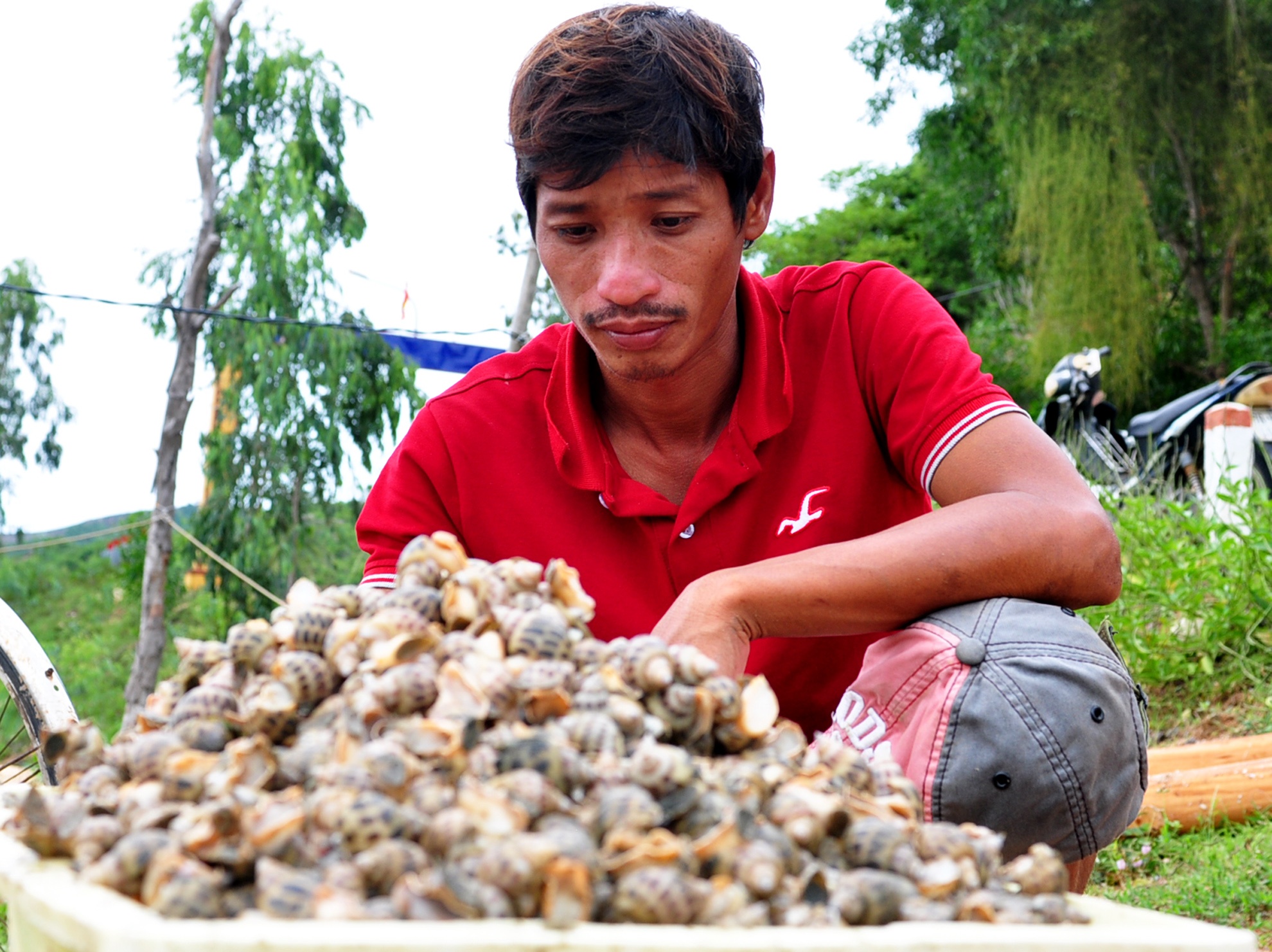 Mưa lũ khiến thủy sản chết ảnh 11 Mua lu khien thuy san chet anh 11