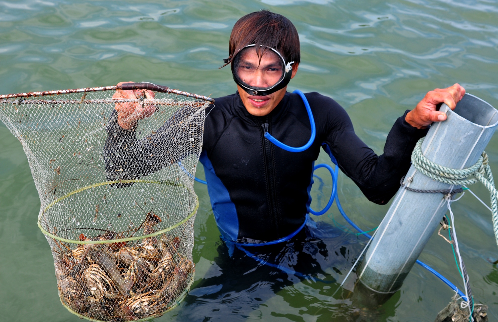 Mưa lũ khiến thủy sản chết ảnh 3 Mua lu khien thuy san chet anh 3