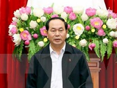 Chu tich nuoc: Truy bat khan toi pham tron o nuoc ngoai hinh anh