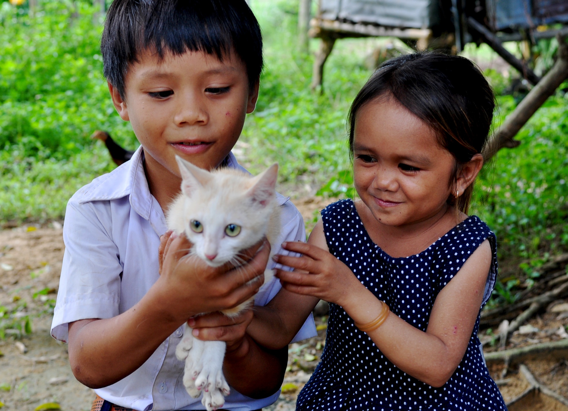 Co gai ti hon anh 10