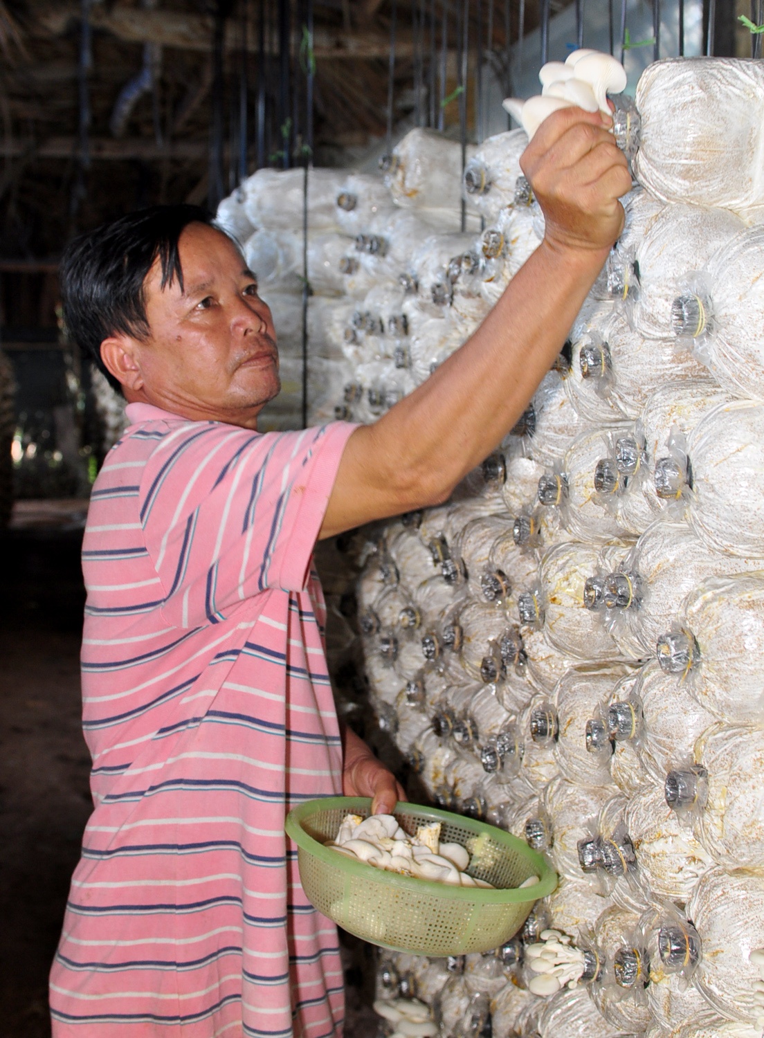 Thu nua ty nho trong nam anh 10