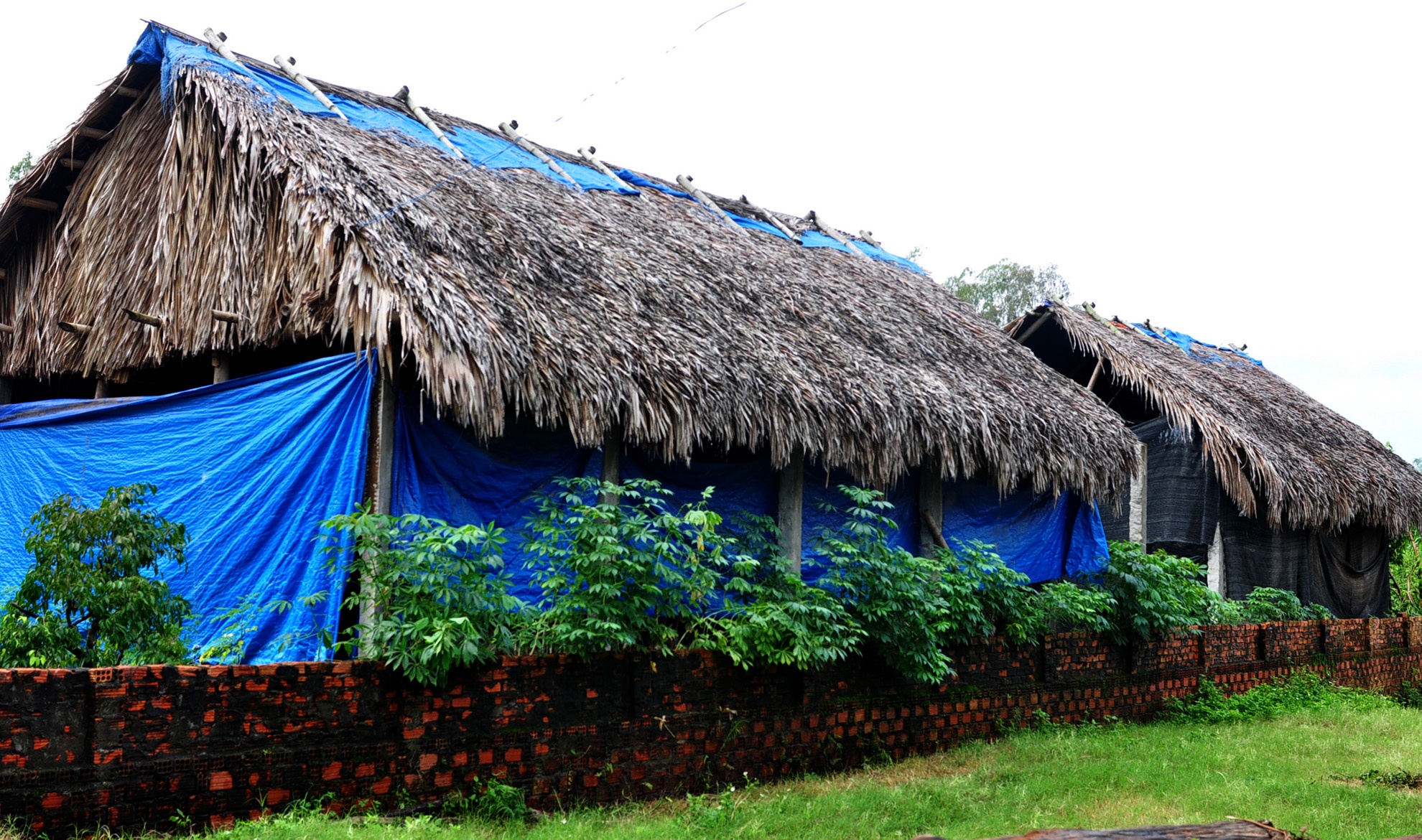 Thu nua ty nho trong nam anh 1